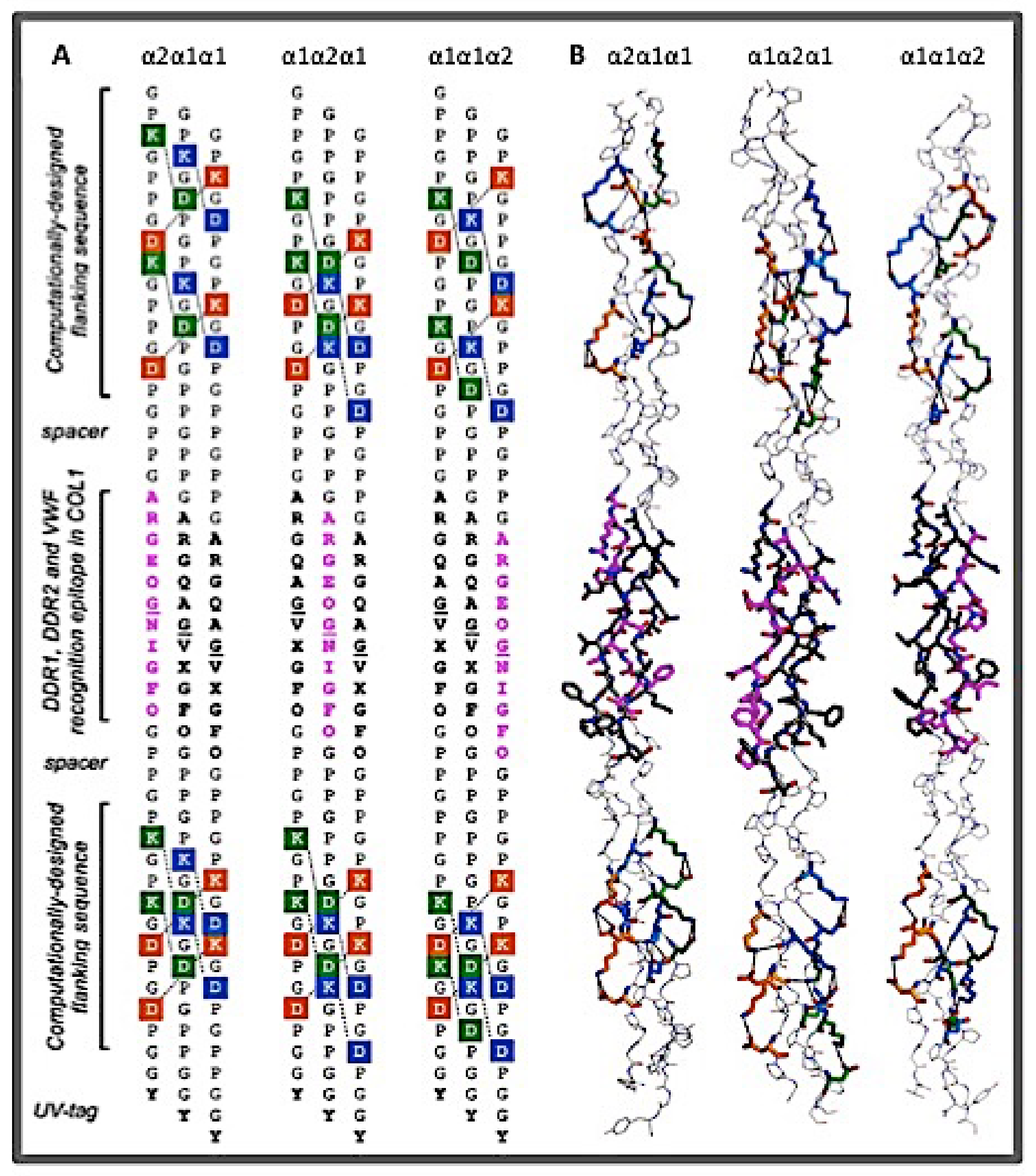 Bioengineering 08 00005 g003