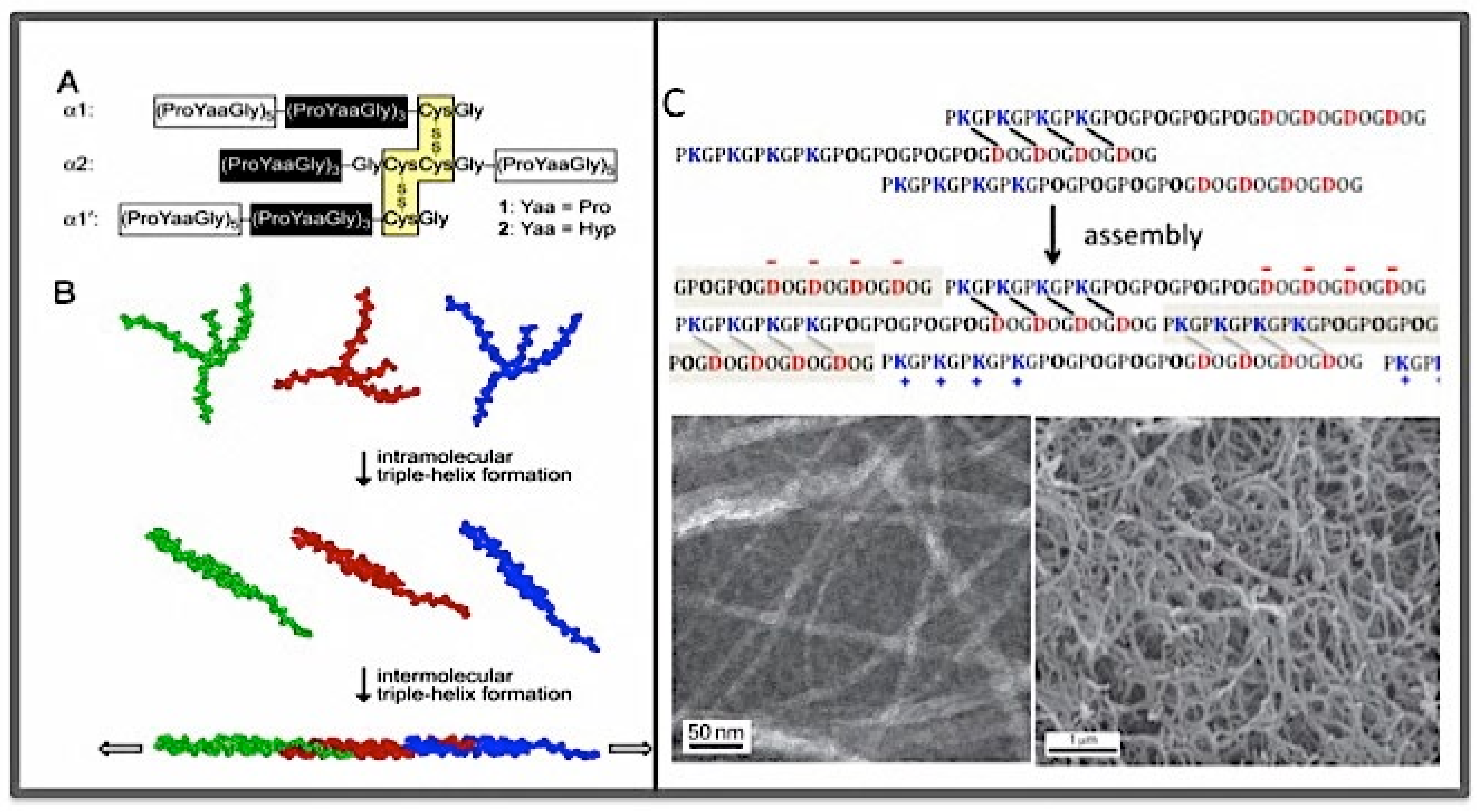 Bioengineering 08 00005 g004