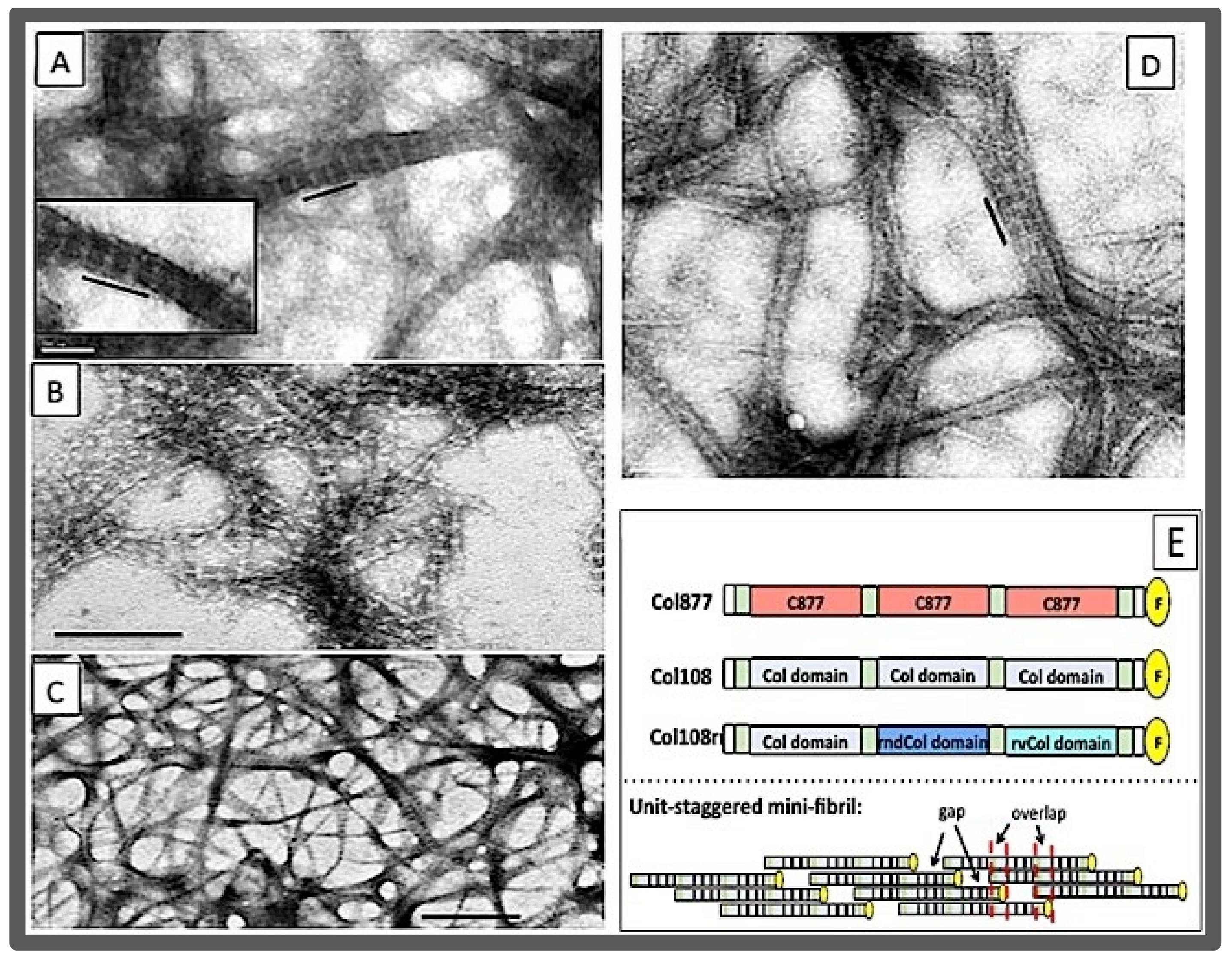 Bioengineering 08 00005 g006