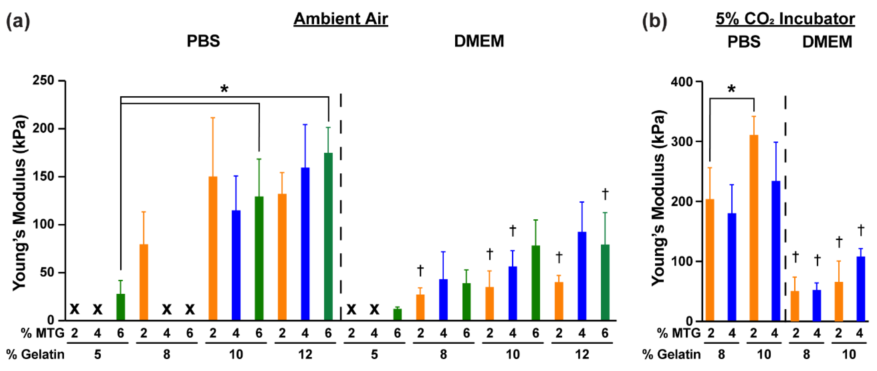 Bioengineering 08 00006 g002 Bioengineering 08 00006 g002
