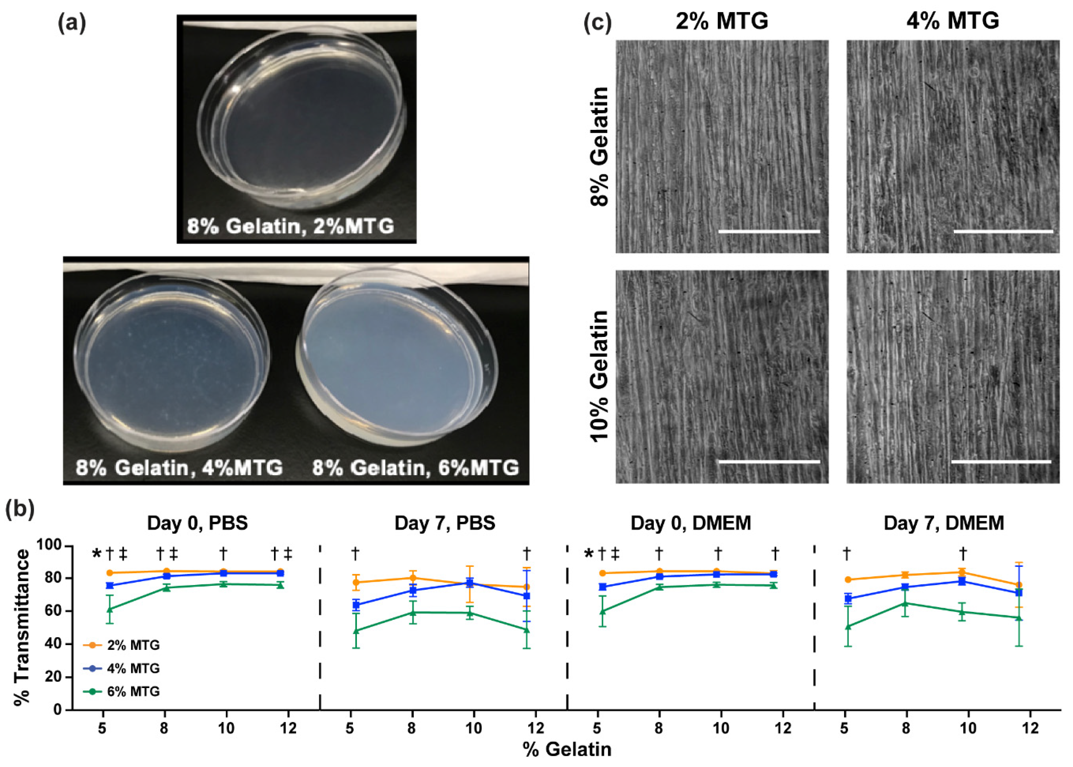 Bioengineering 08 00006 g005 Bioengineering 08 00006 g005