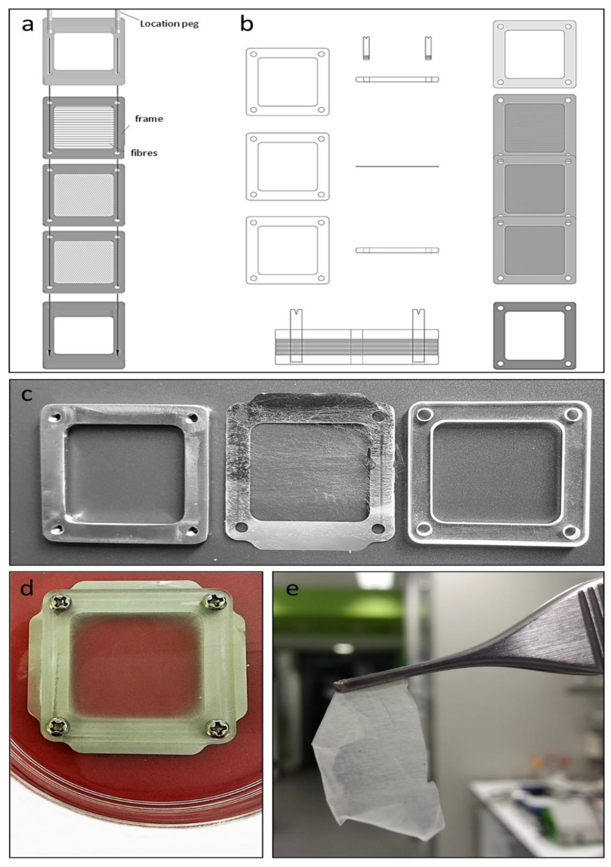 Bioengineering 08 00007 g001