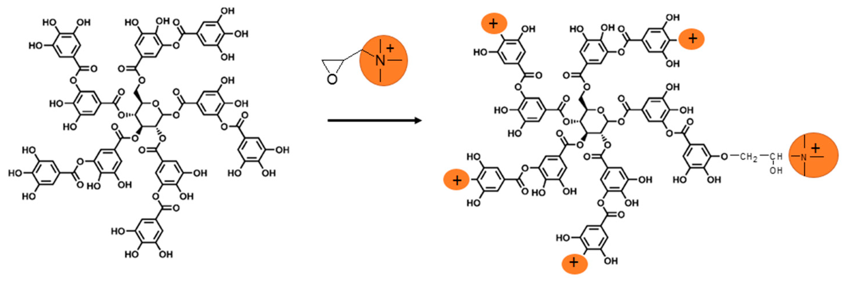 Bioengineering 08 00009 g003