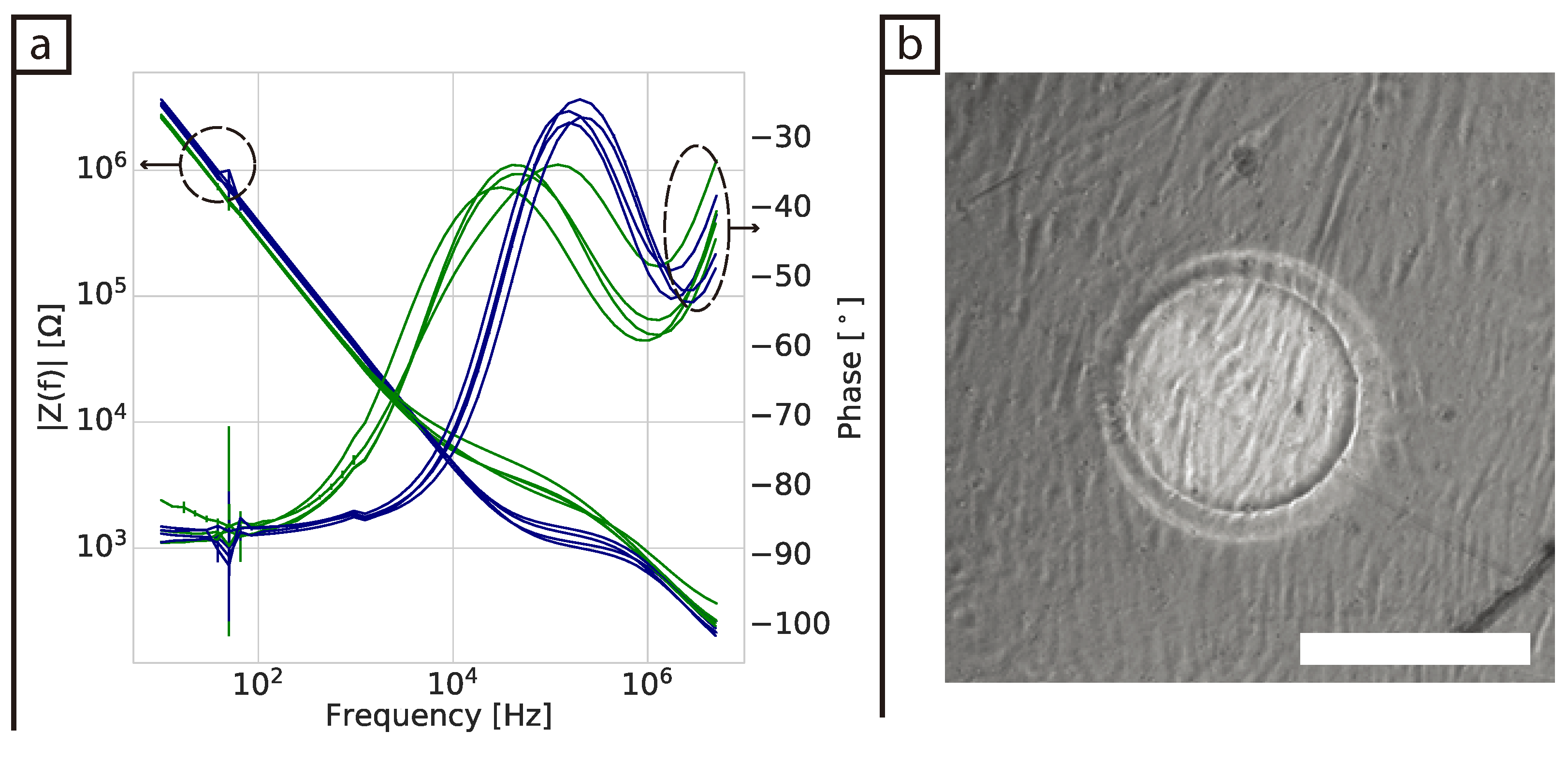 Bioengineering 08 00011 g002