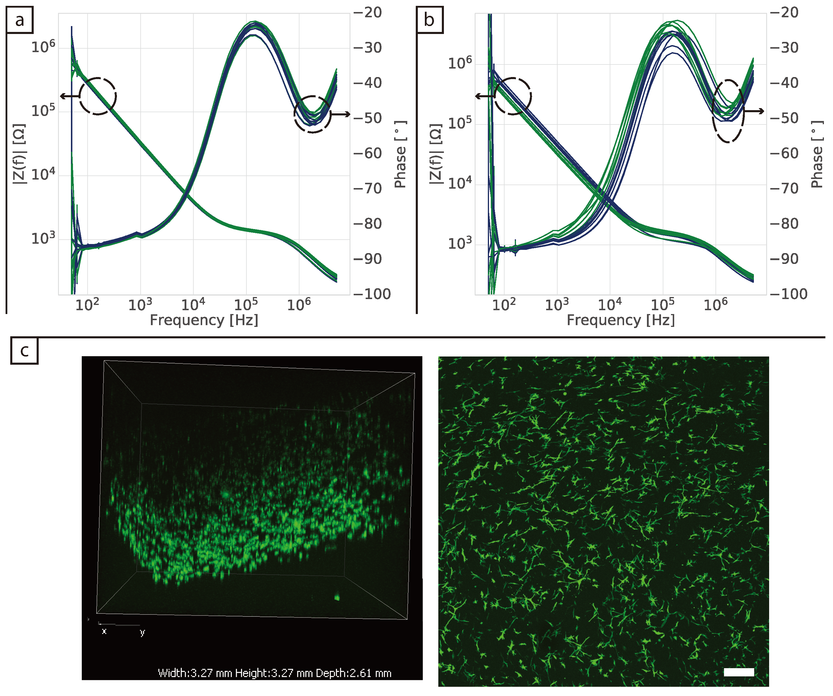 Bioengineering 08 00011 g004