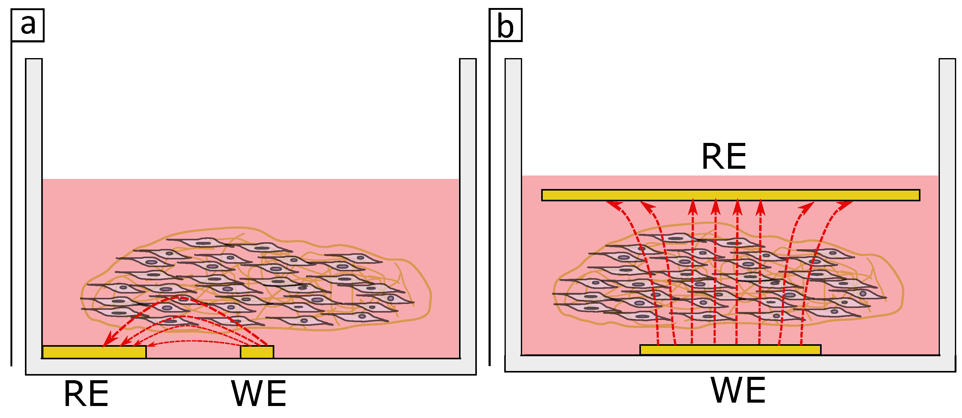 Bioengineering 08 00011 g009
