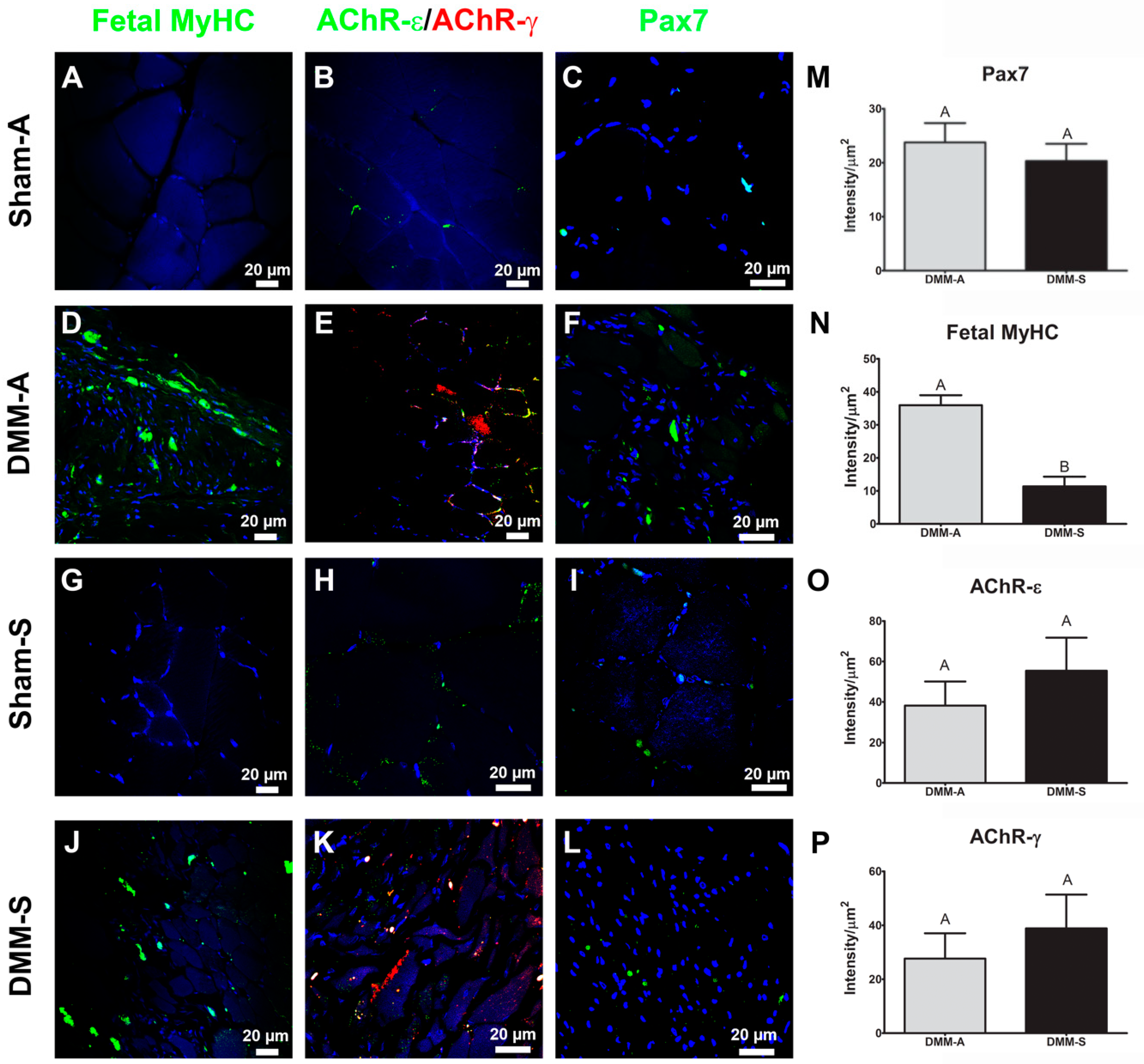 Bioengineering 08 00012 g004