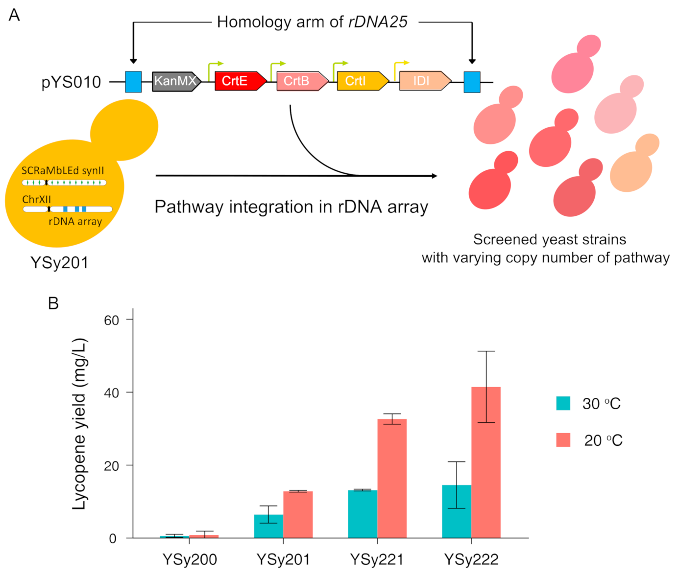 Bioengineering 08 00014 g003