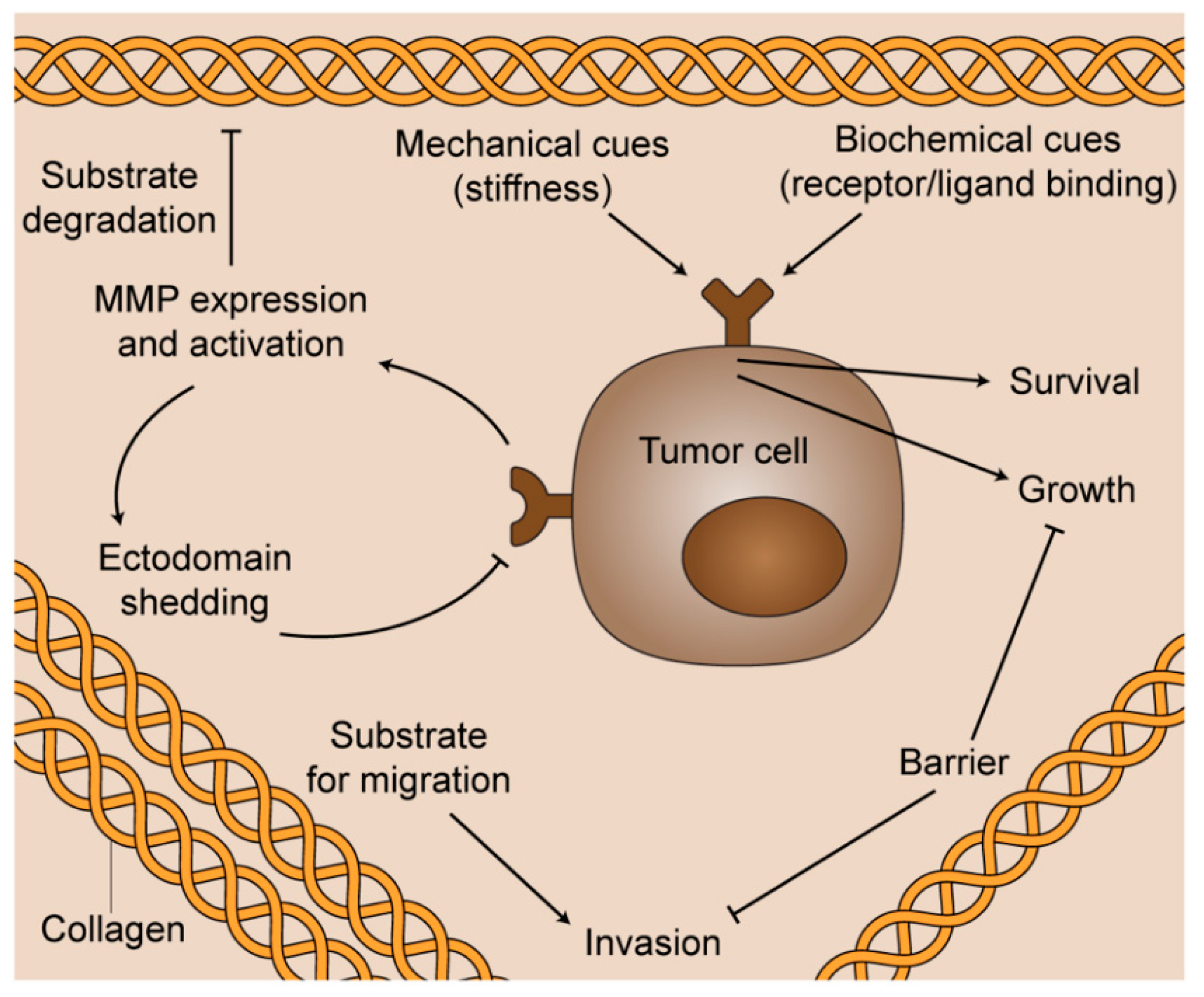 Bioengineering 08 00017 g002