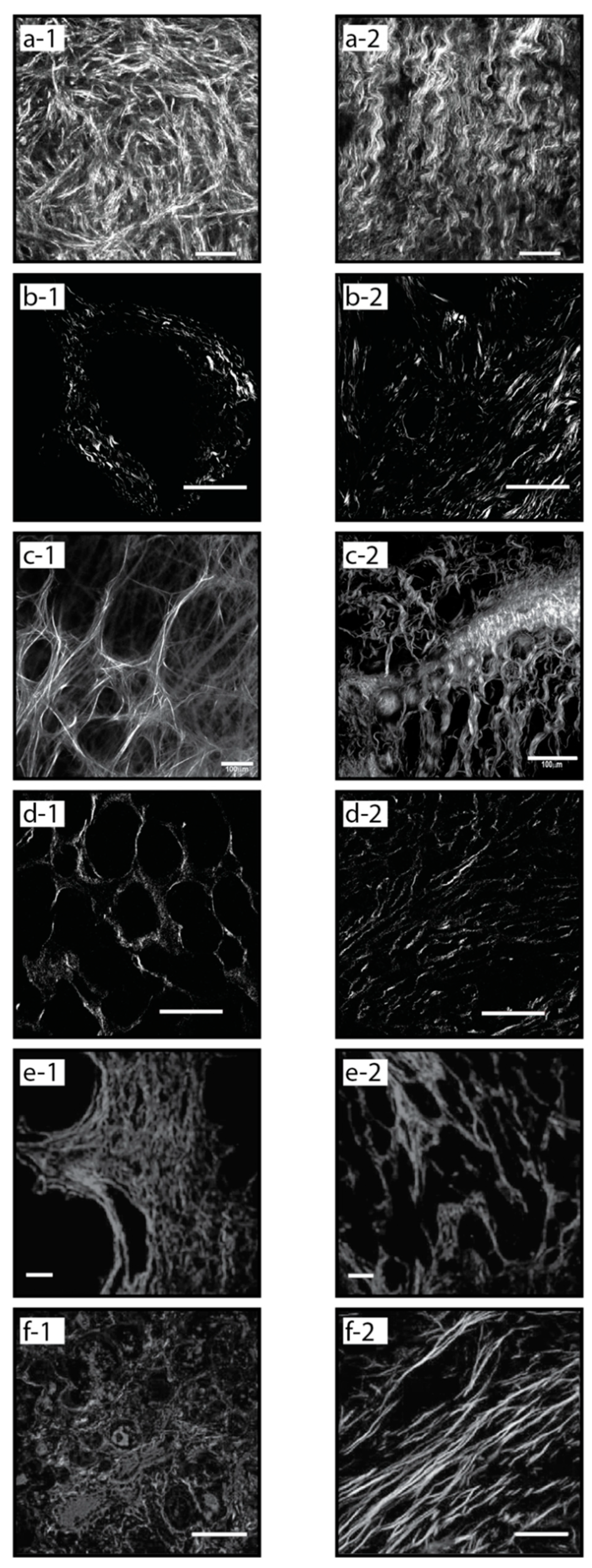 Bioengineering 08 00017 g003