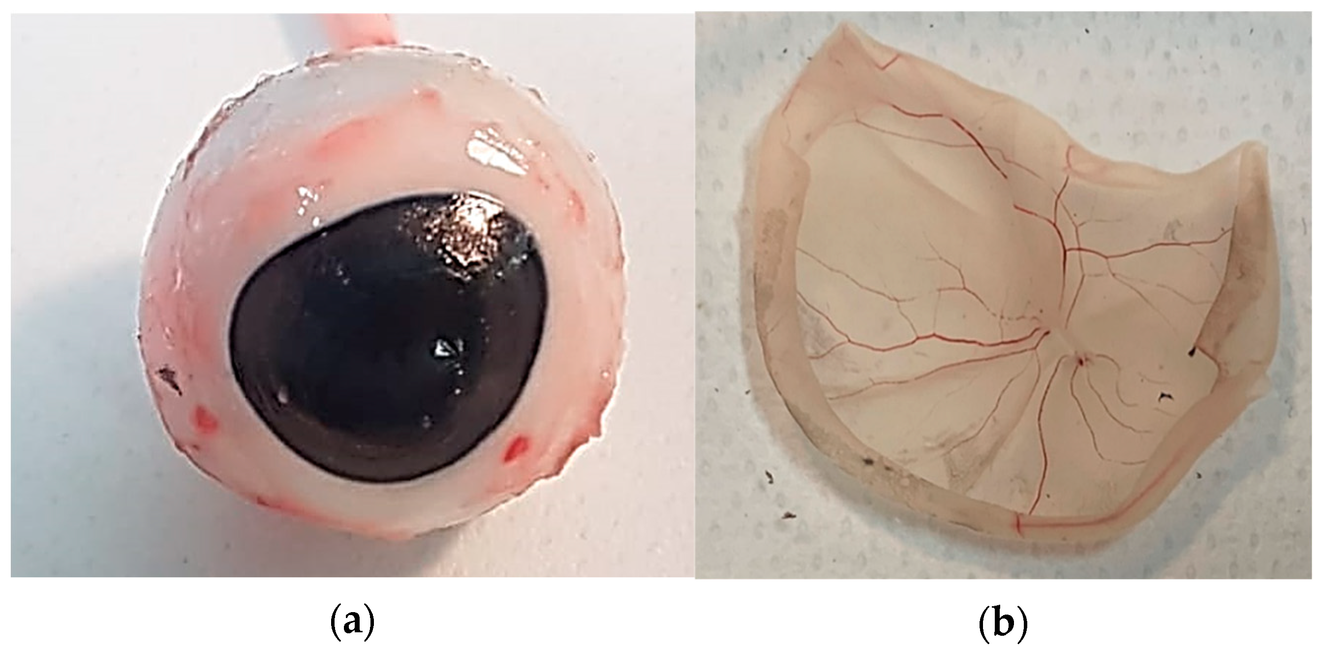 Bioengineering 08 00018 g001