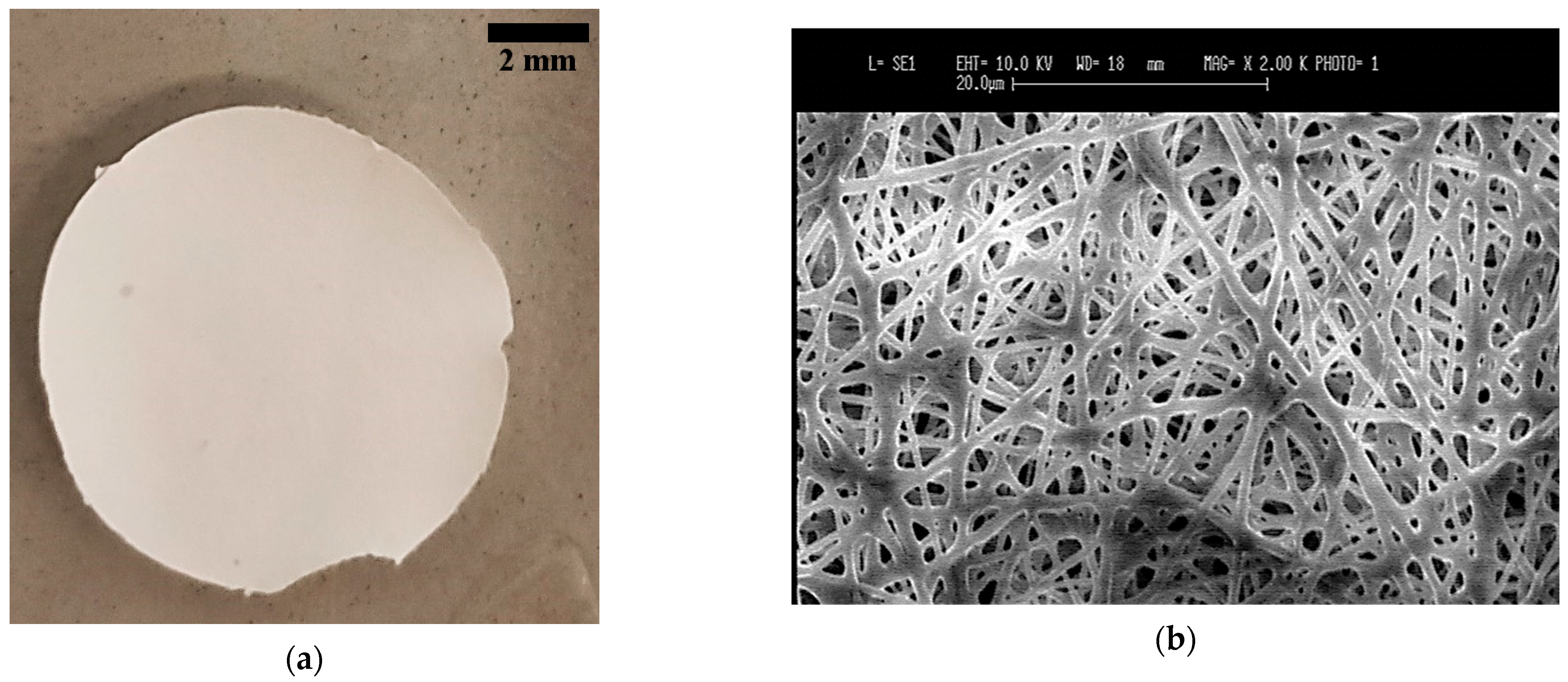 Bioengineering 08 00018 g005