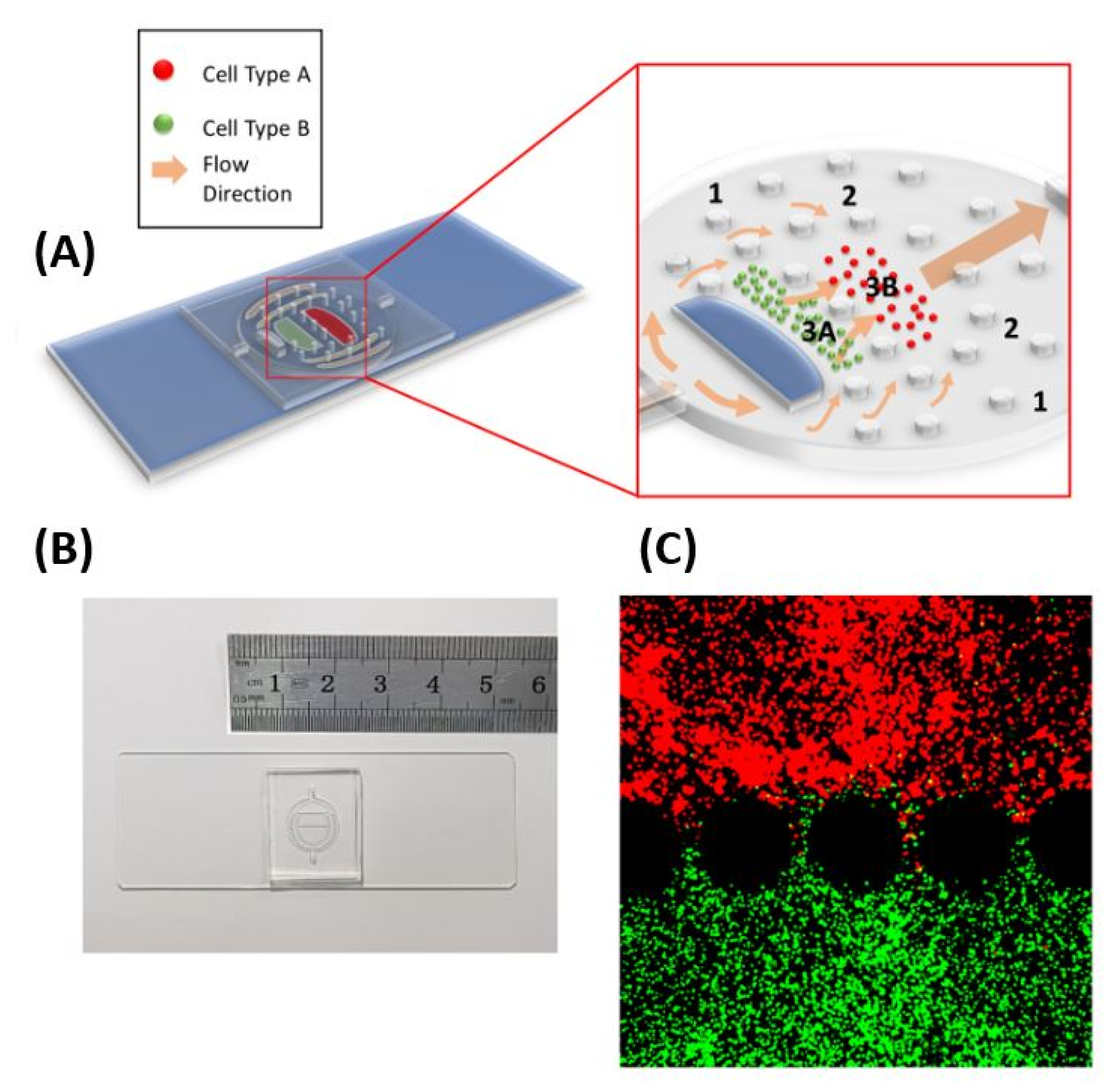 Bioengineering 08 00019 g001