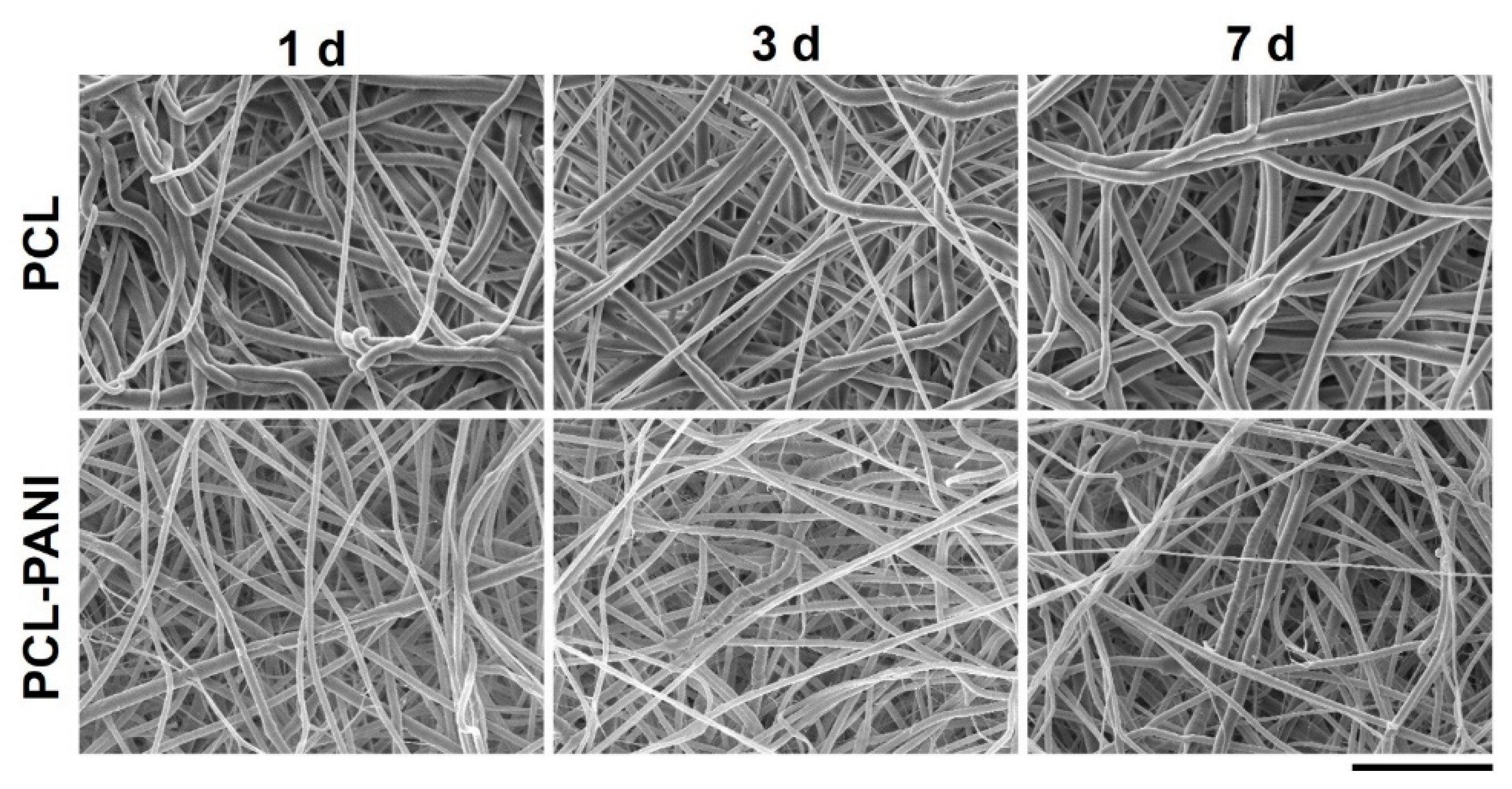Bioengineering 08 00024 g004 Bioengineering 08 00024 g004
