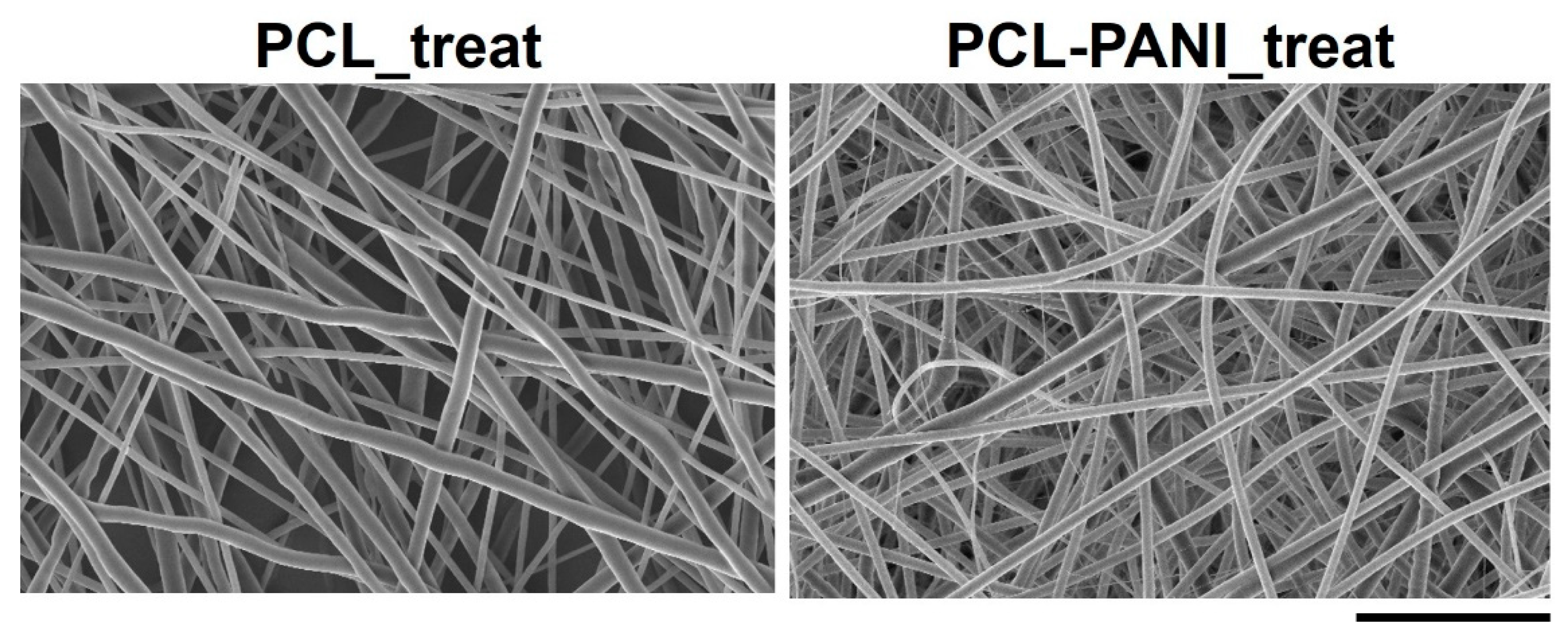 Bioengineering 08 00024 g006 Bioengineering 08 00024 g006