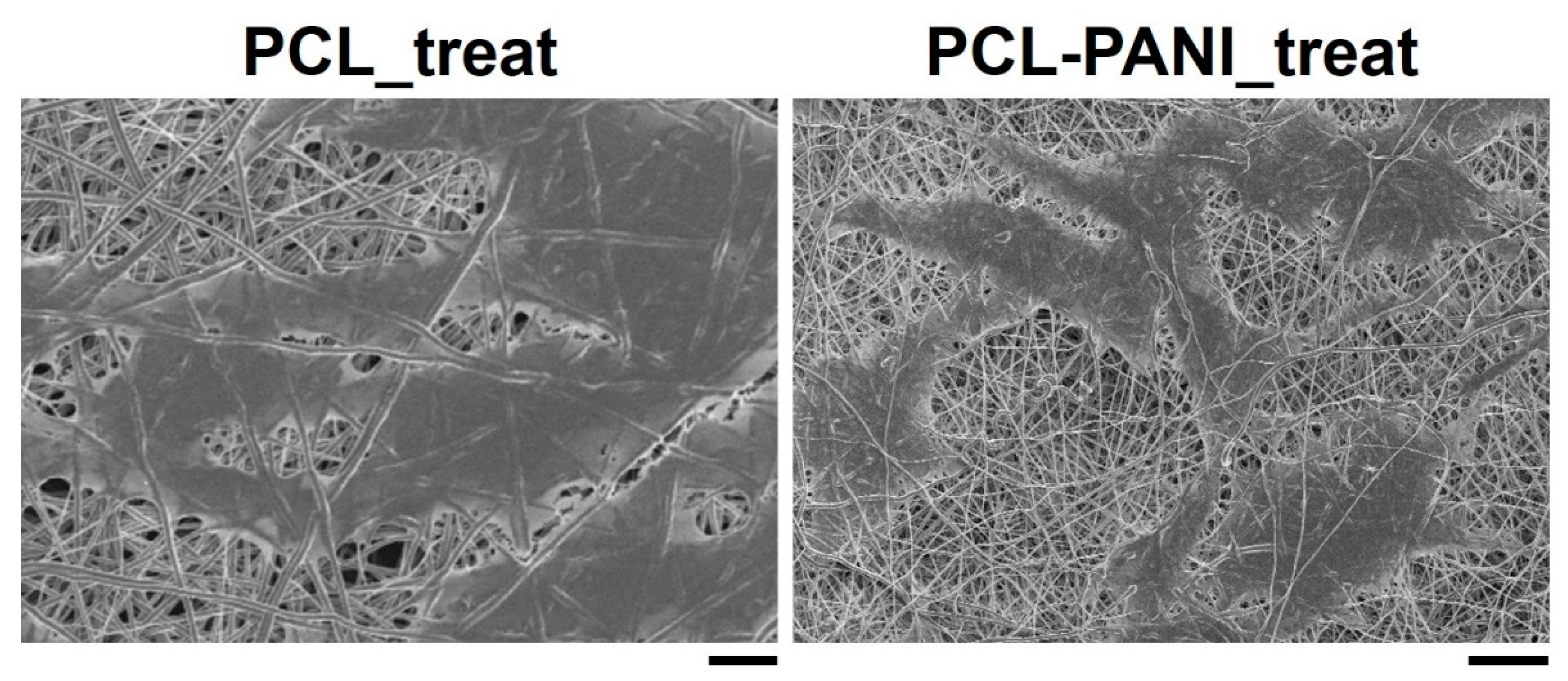Bioengineering 08 00024 g010 Bioengineering 08 00024 g010