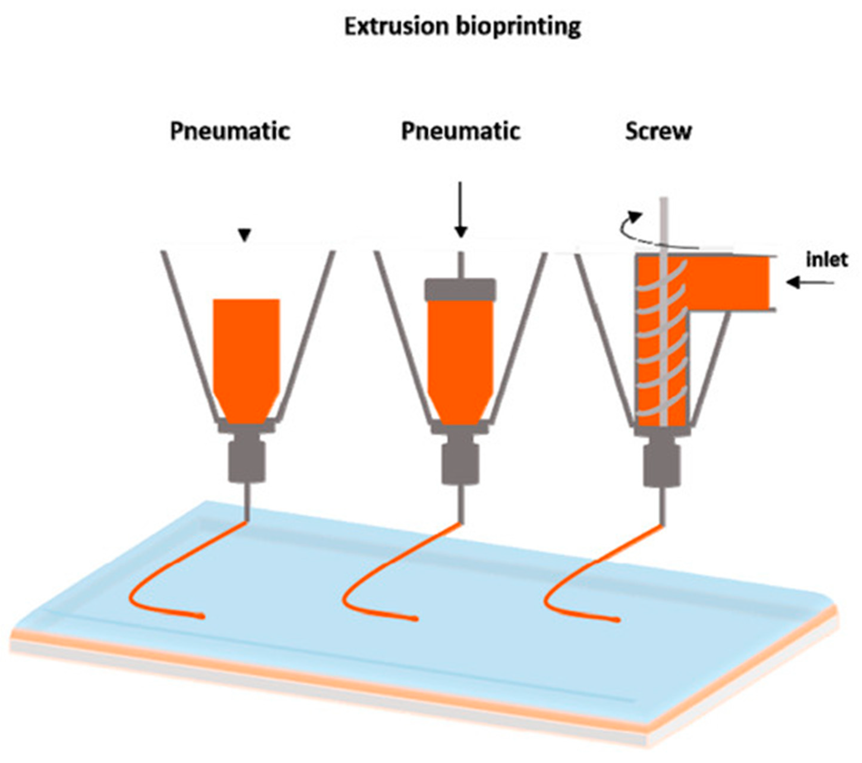 Bioengineering 08 00027 g001 Bioengineering 08 00027 g001
