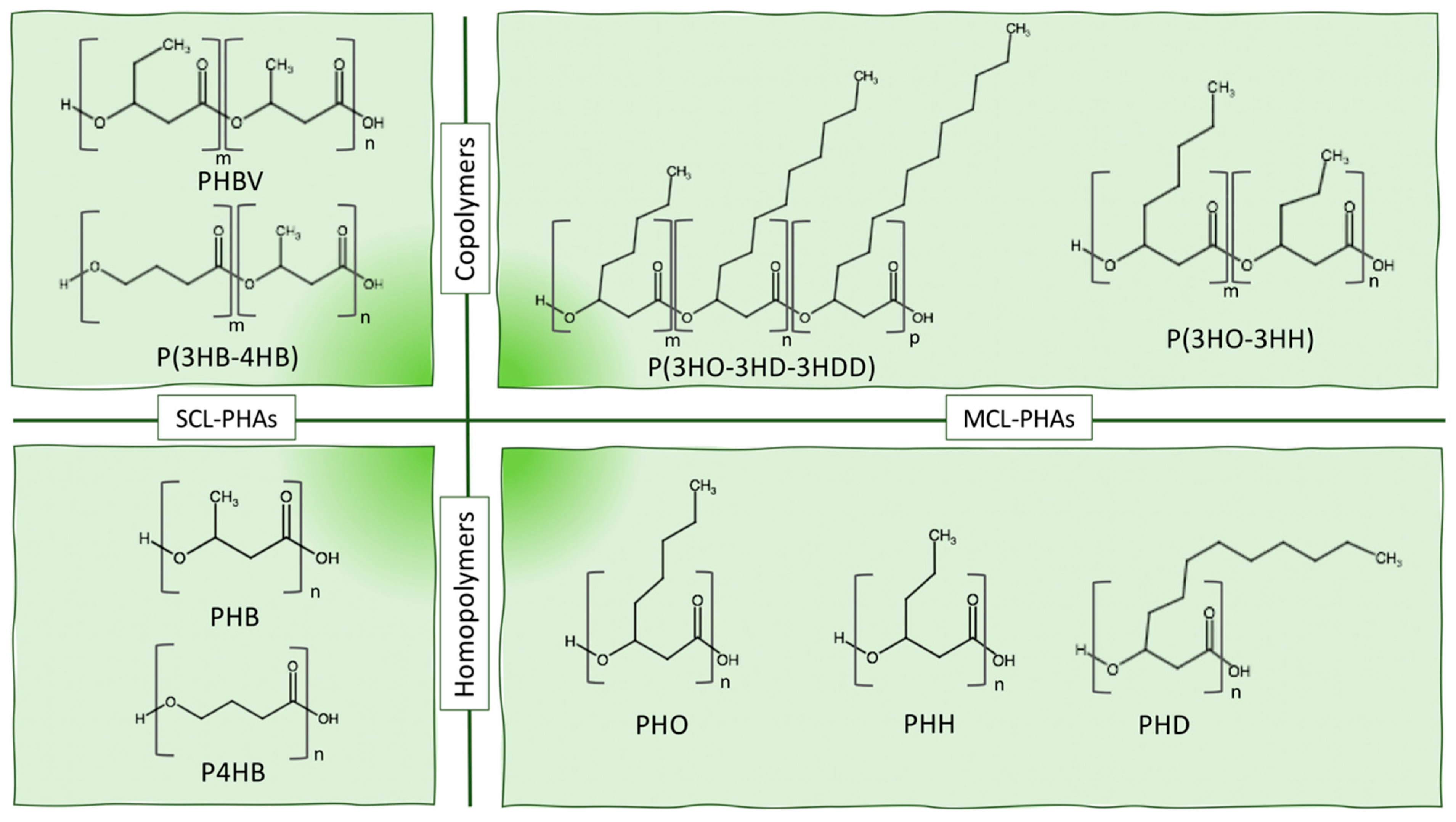 Bioengineering 08 00029 g003