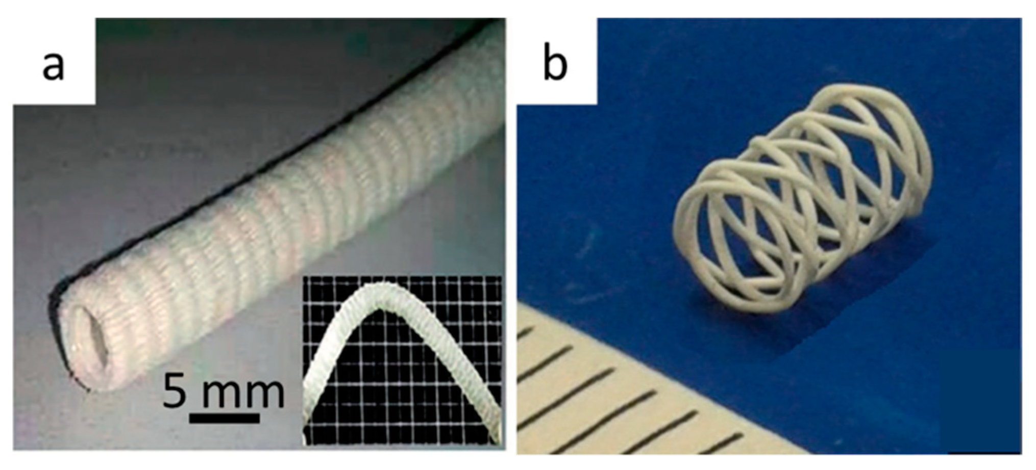 Bioengineering 08 00029 g009