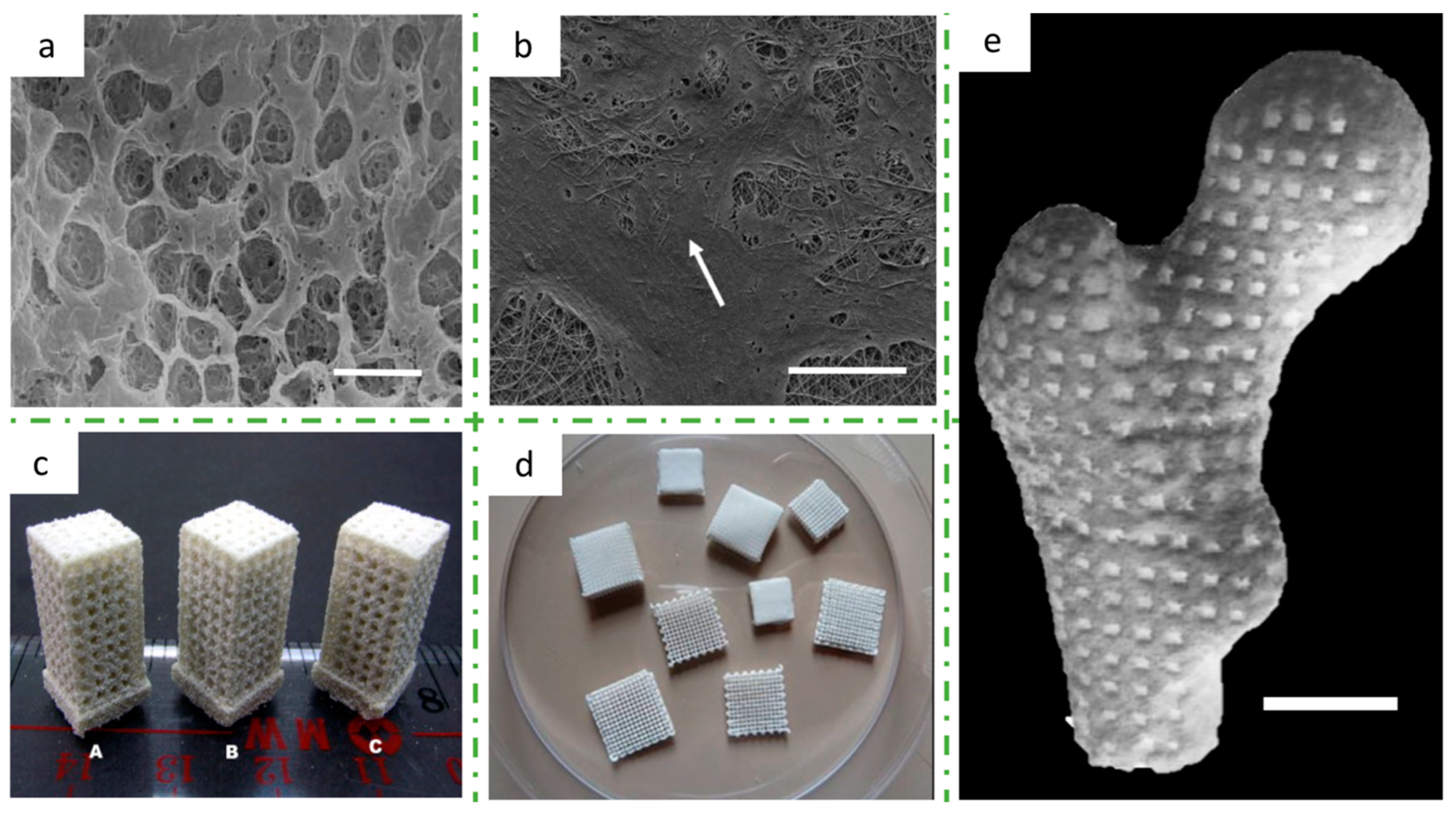 Bioengineering 08 00029 g010