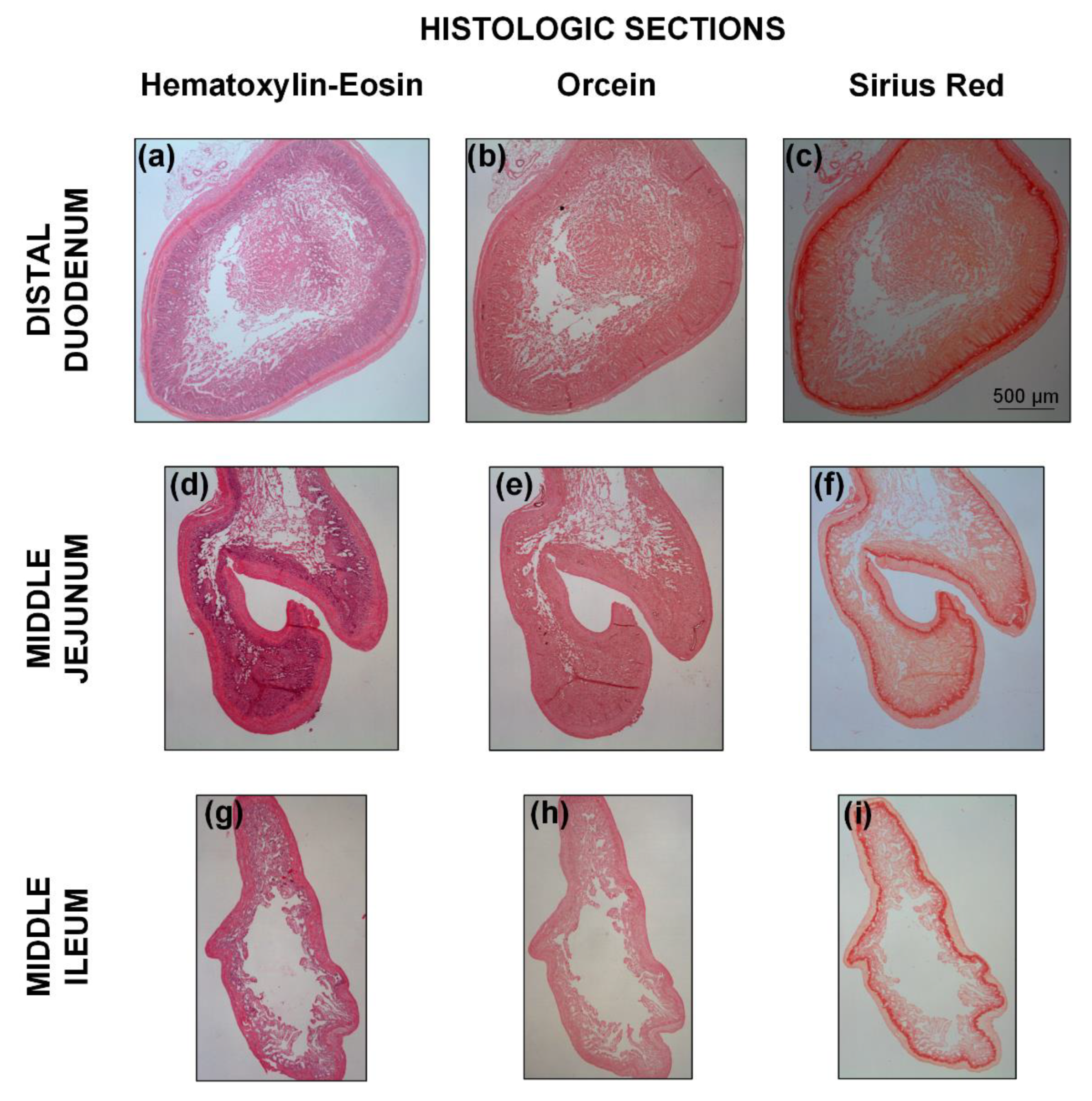 Bioengineering 08 00032 g009 Bioengineering 08 00032 g009