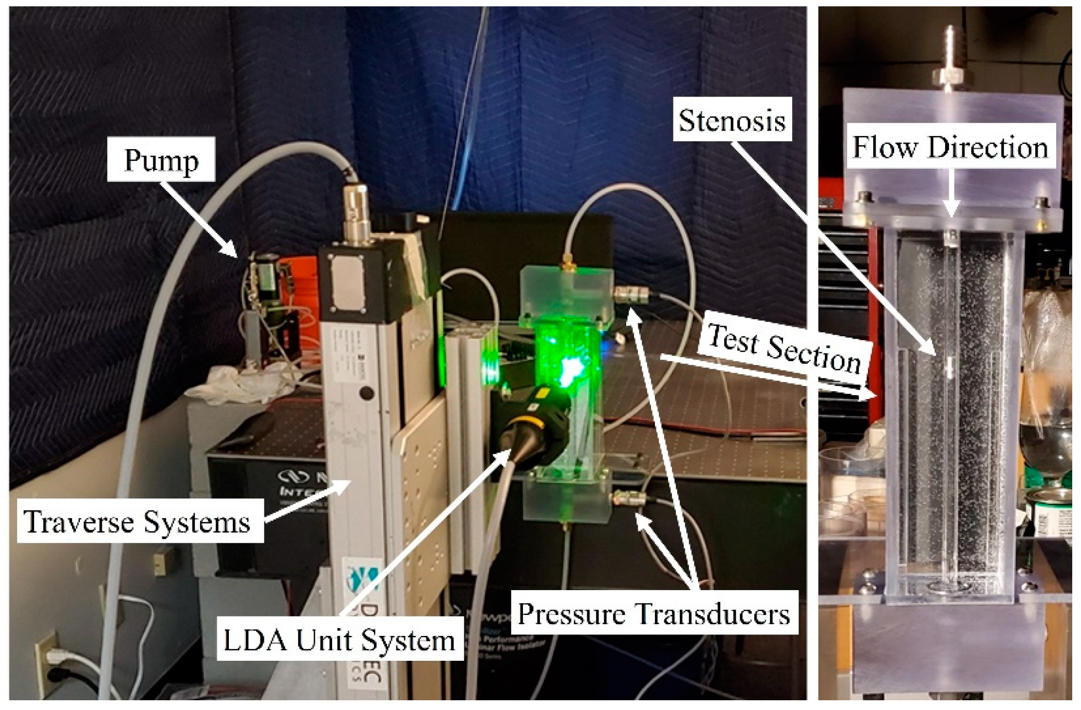 Bioengineering 08 00034 g002 Bioengineering 08 00034 g002