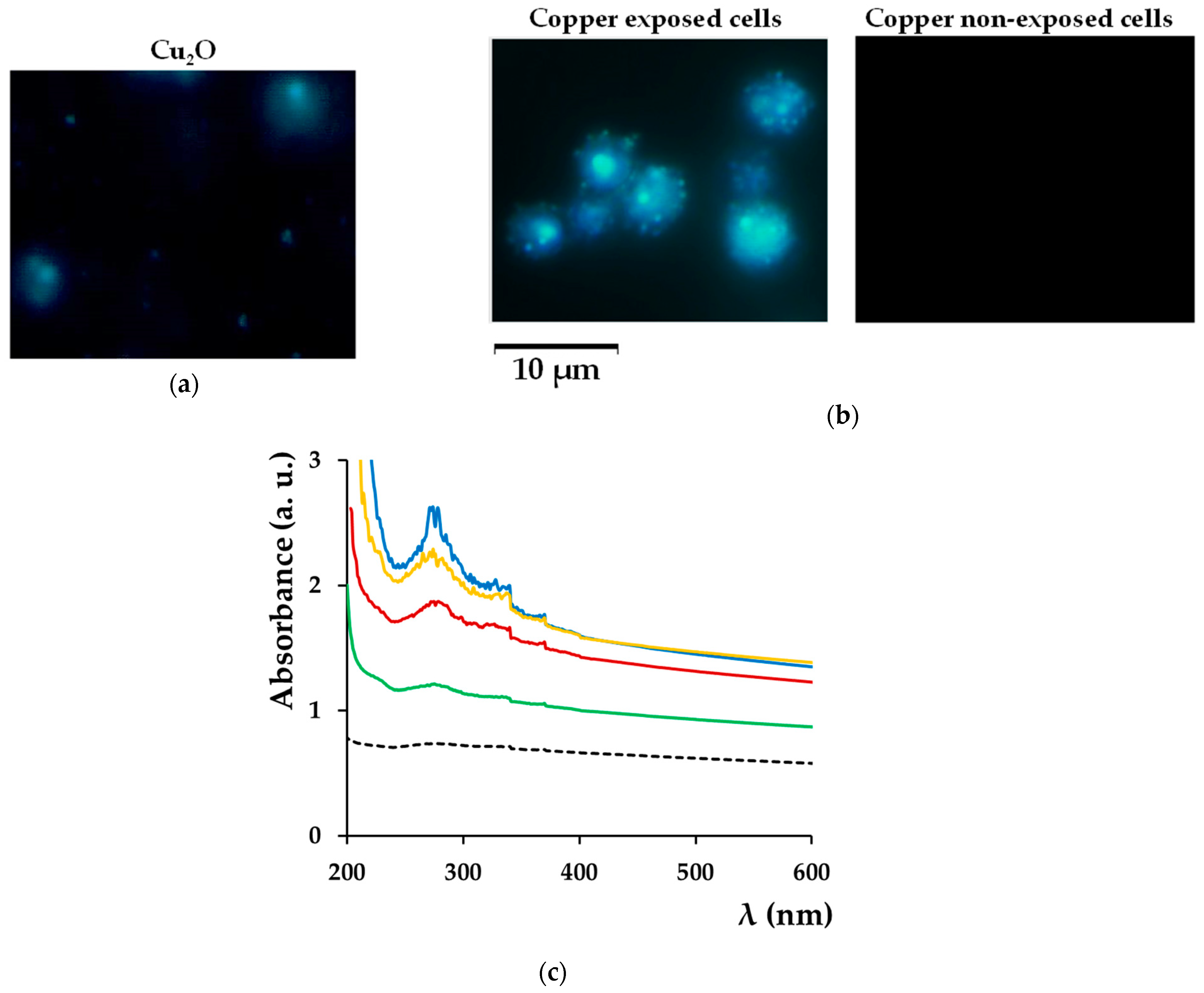 Bioengineering 08 00036 g007