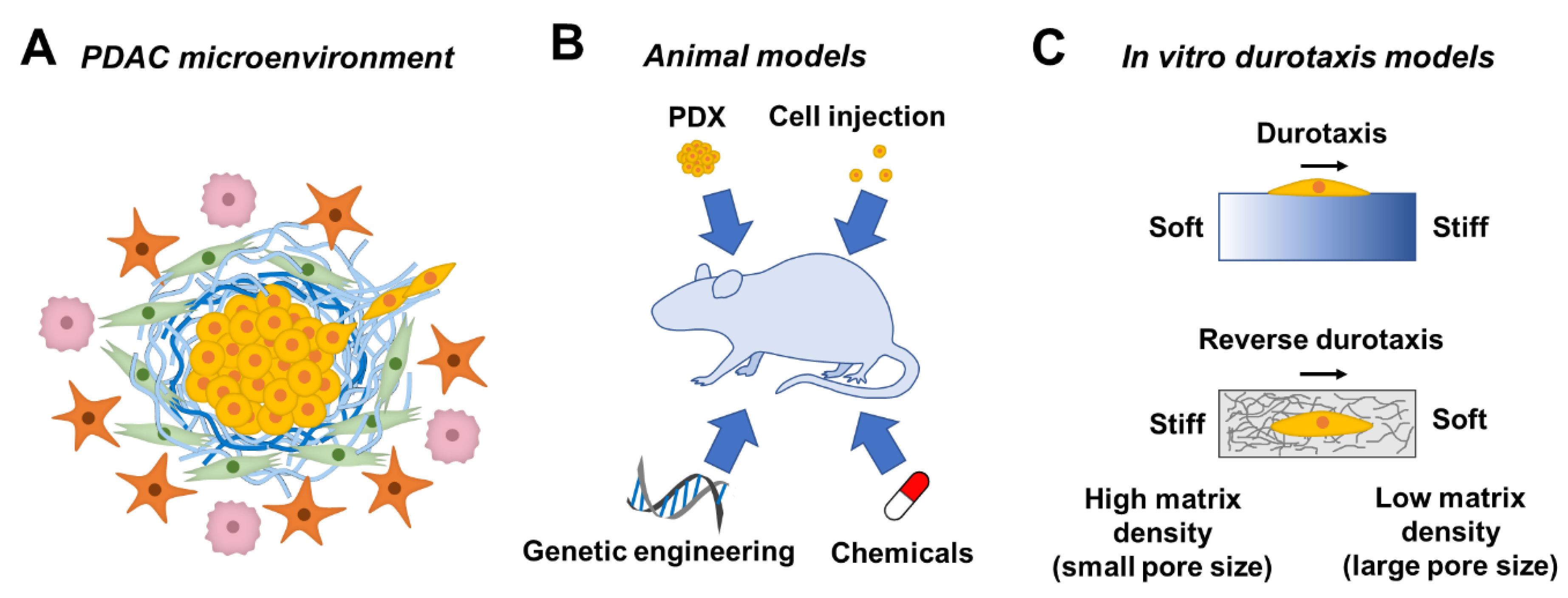 Bioengineering 08 00037 g001