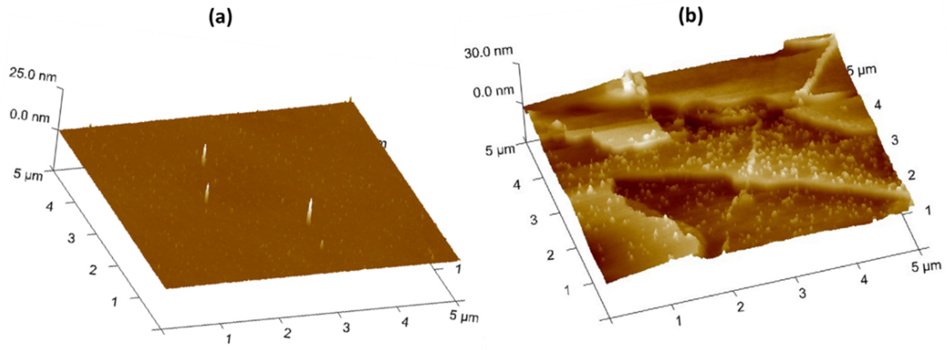 Bioengineering 08 00038 g004 Bioengineering 08 00038 g004