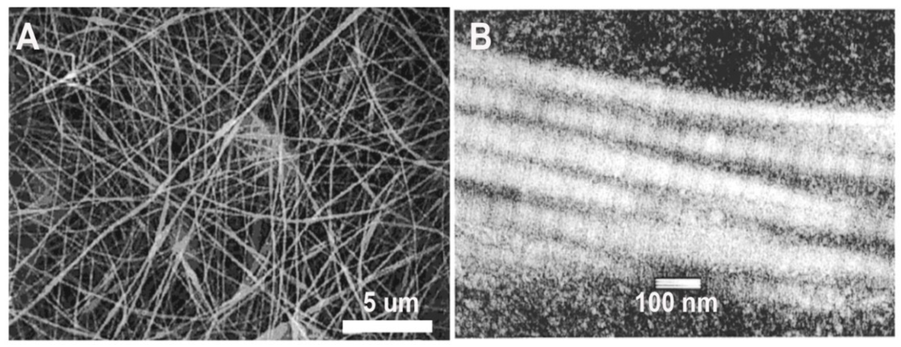 Bioengineering 08 00039 g003 Bioengineering 08 00039 g003
