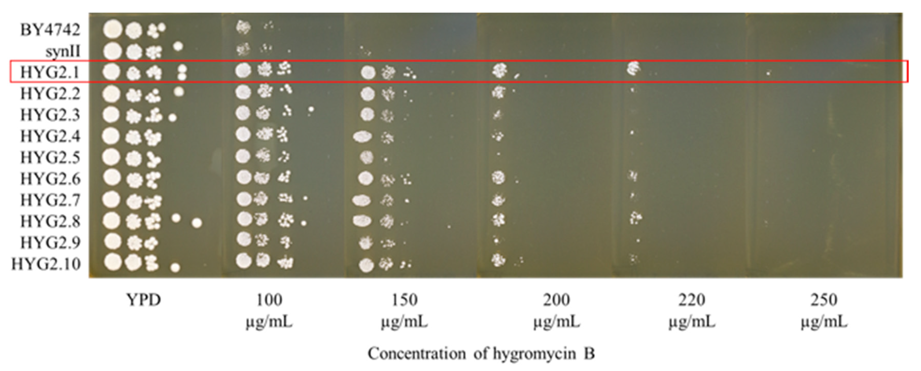 Bioengineering 08 00042 g002