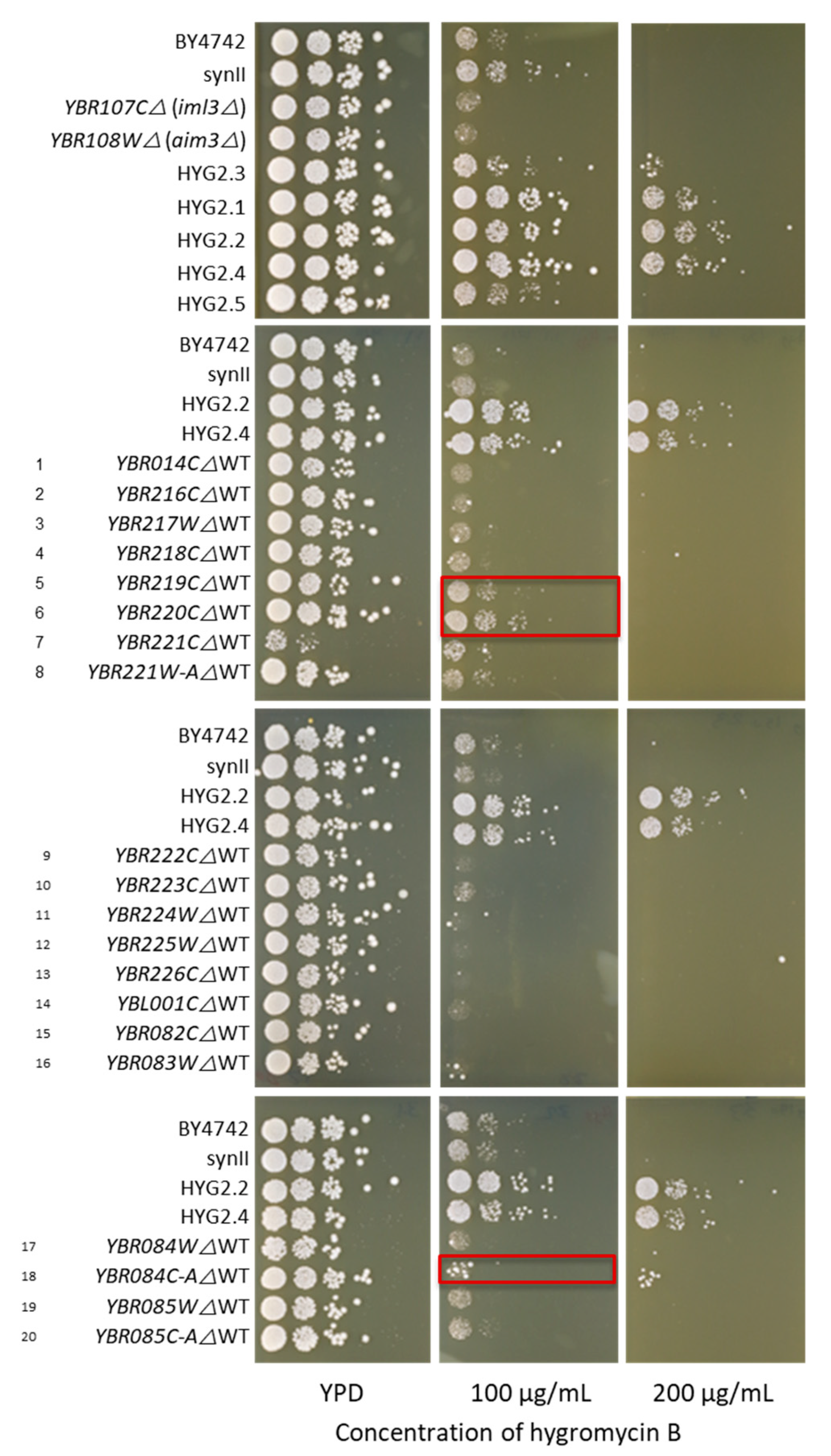 Bioengineering 08 00042 g004
