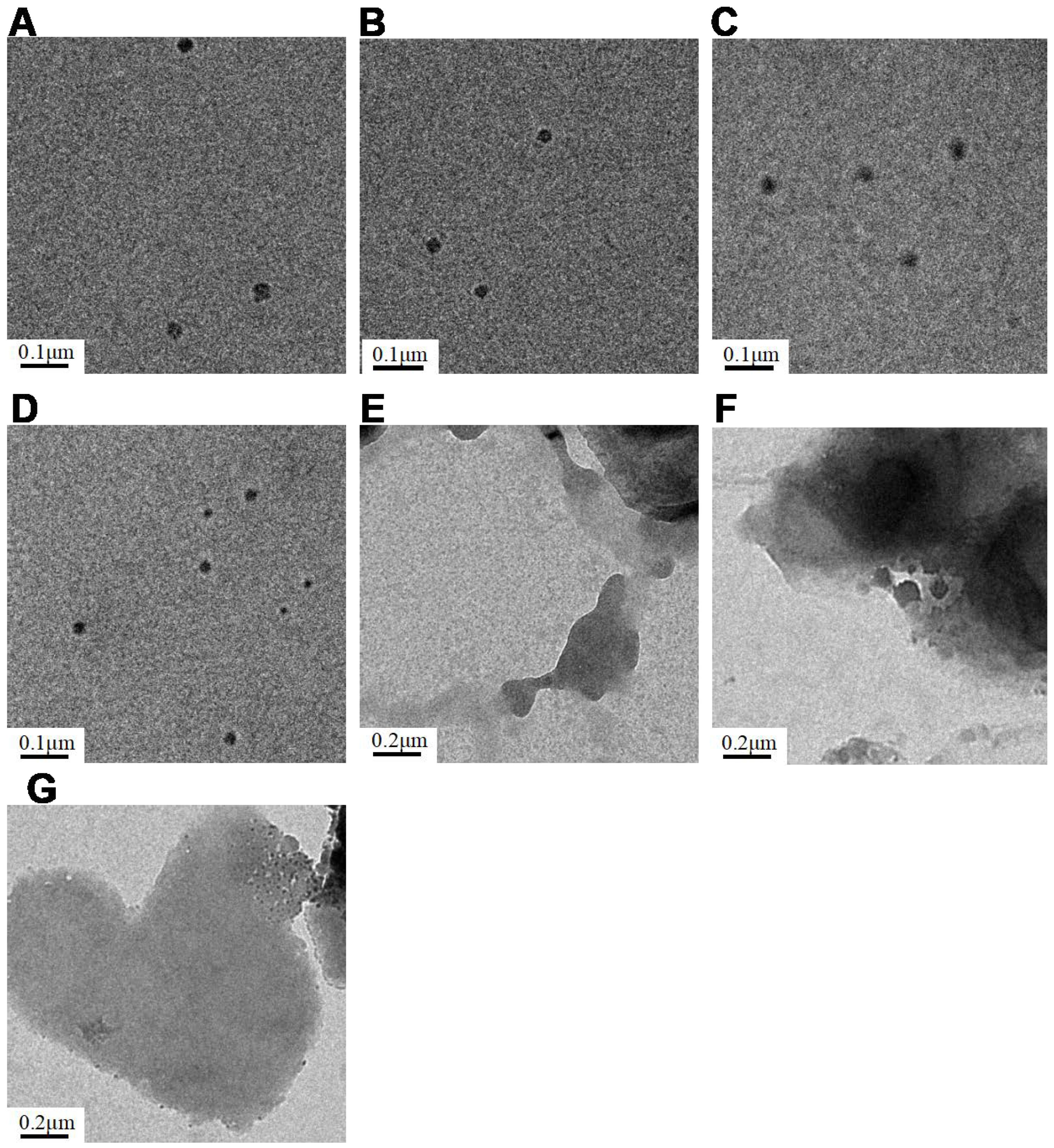 Bioengineering 08 00043 g004