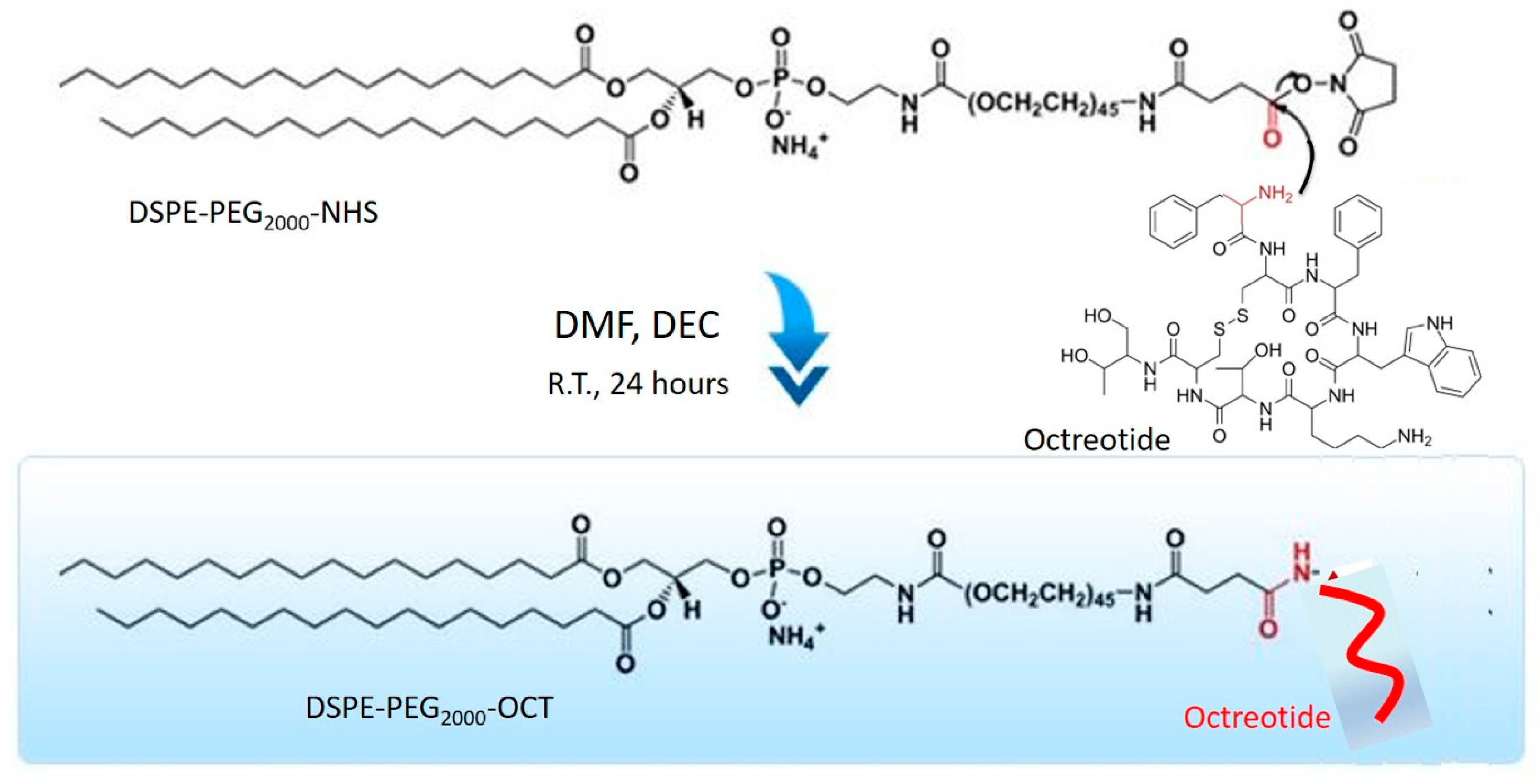Bioengineering 08 00044 g001