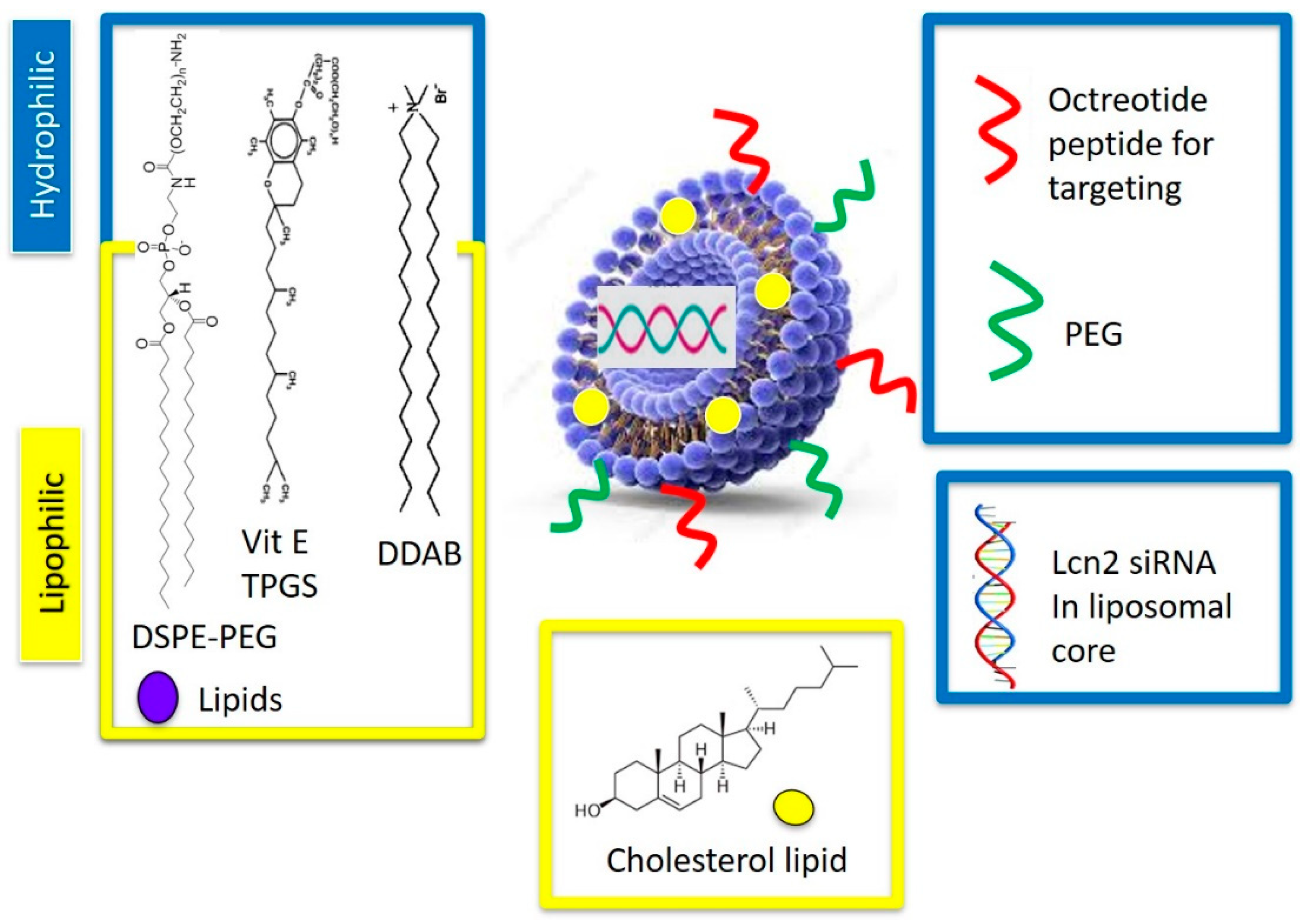 Bioengineering 08 00044 g003