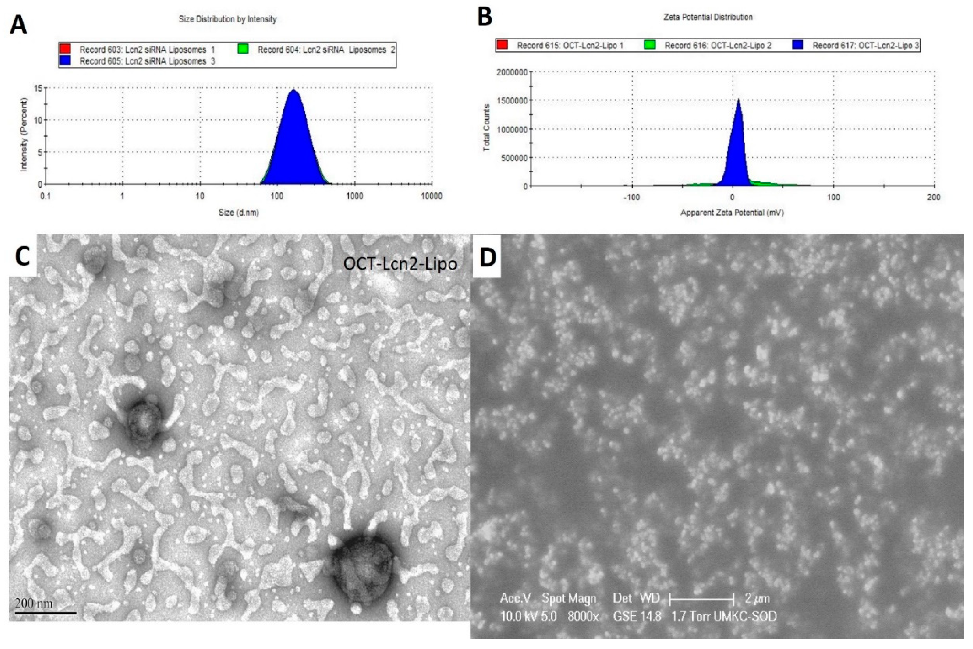 Bioengineering 08 00044 g004