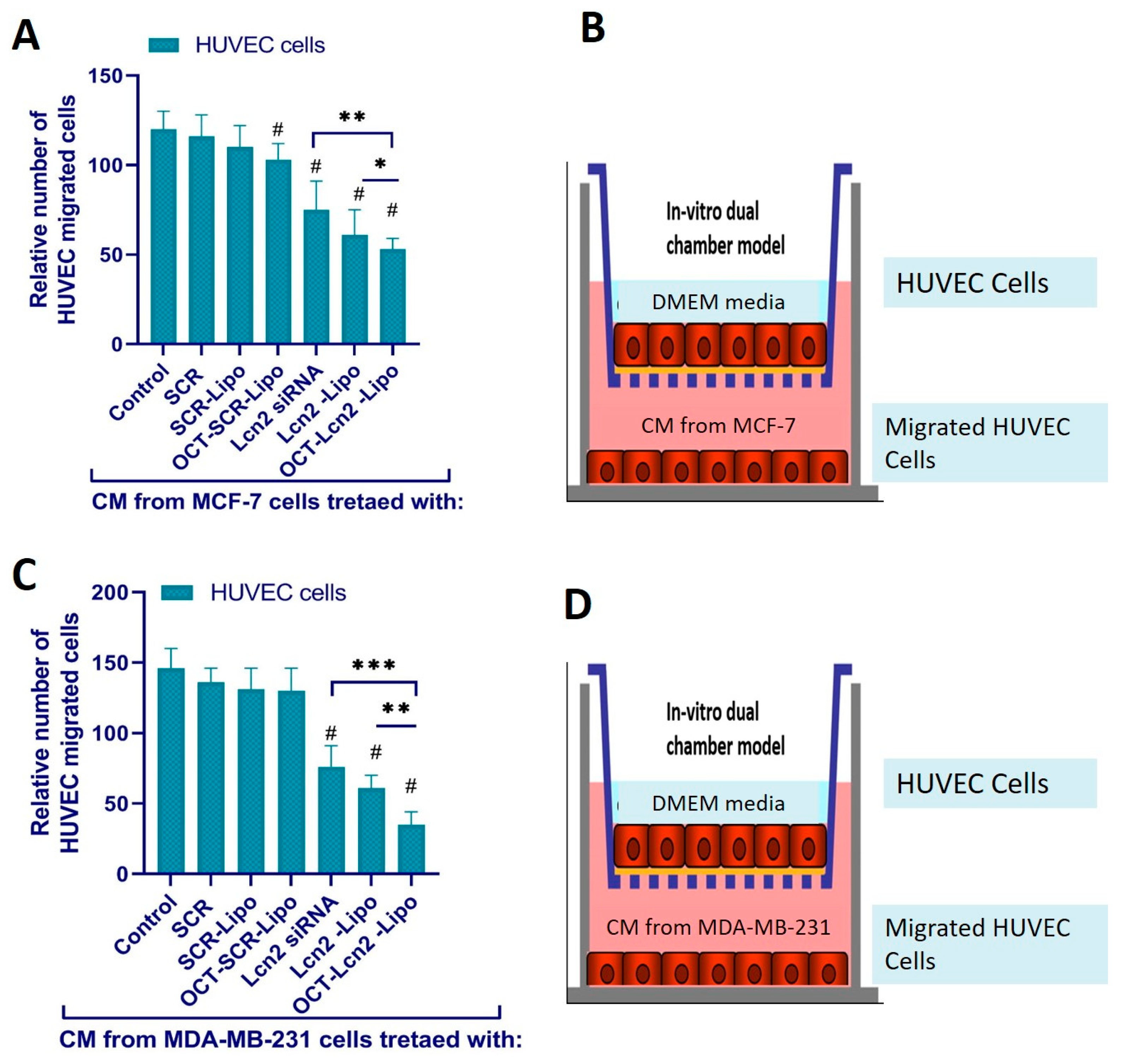 Bioengineering 08 00044 g012