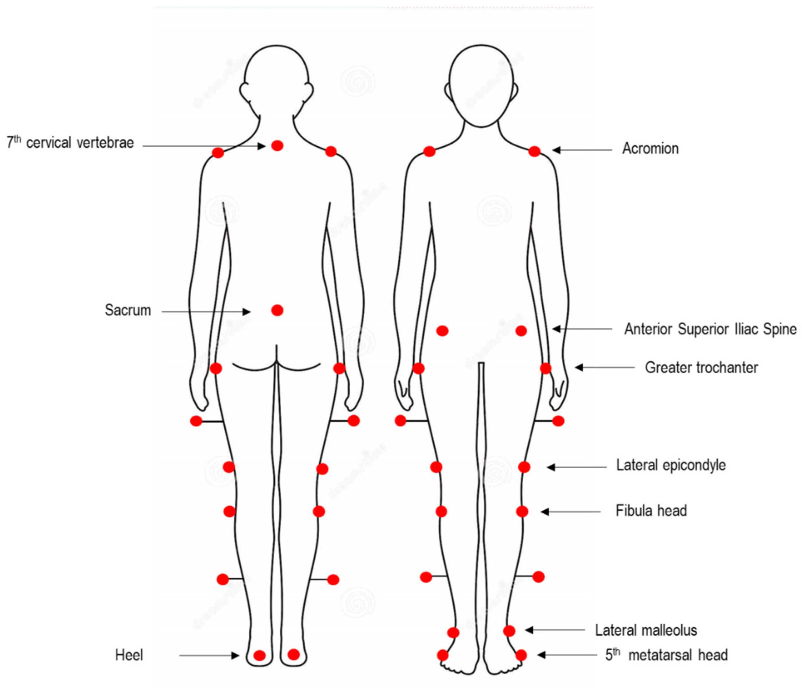 Bioengineering 08 00047 g002 Bioengineering 08 00047 g002