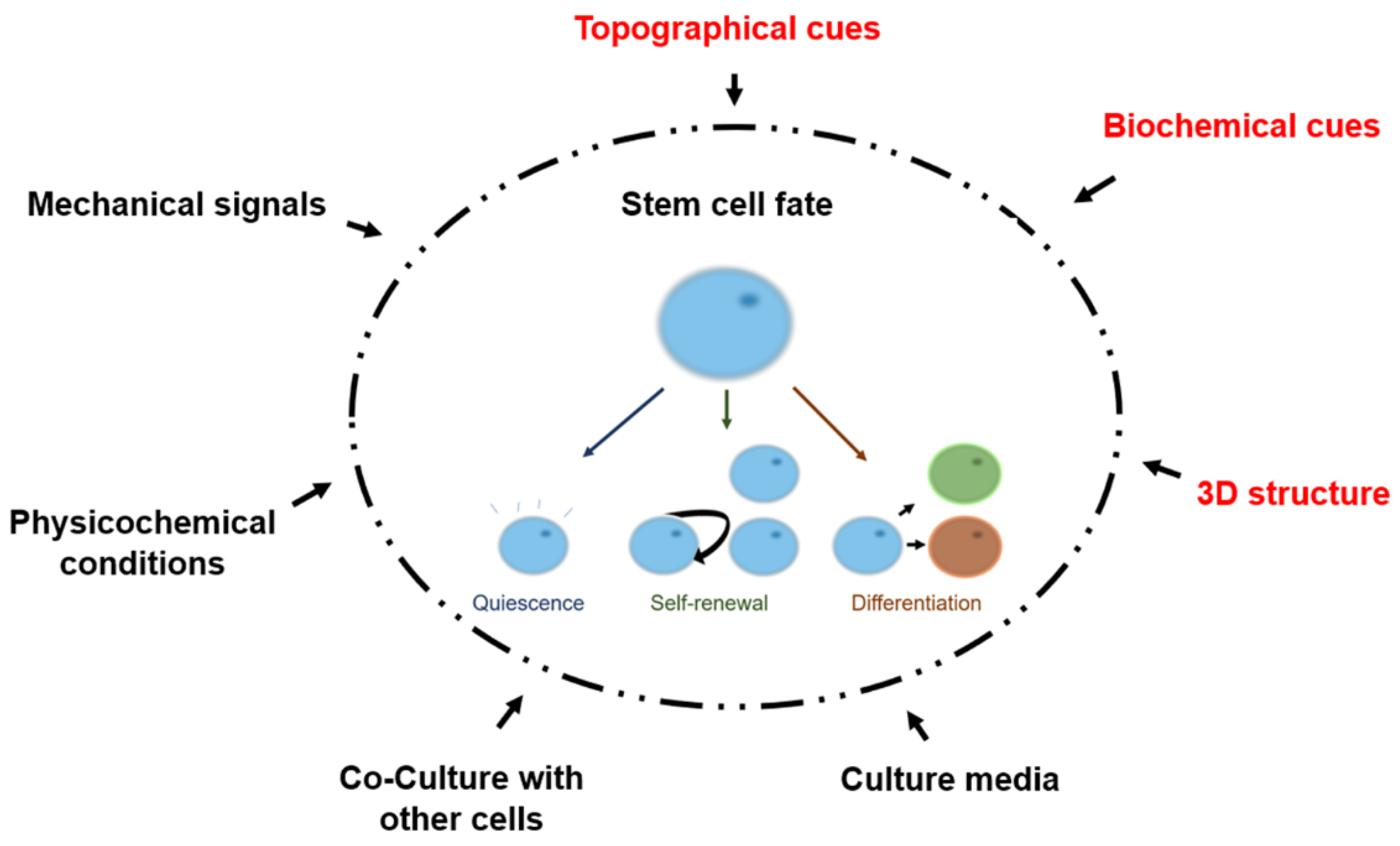 Bioengineering 08 00050 g002