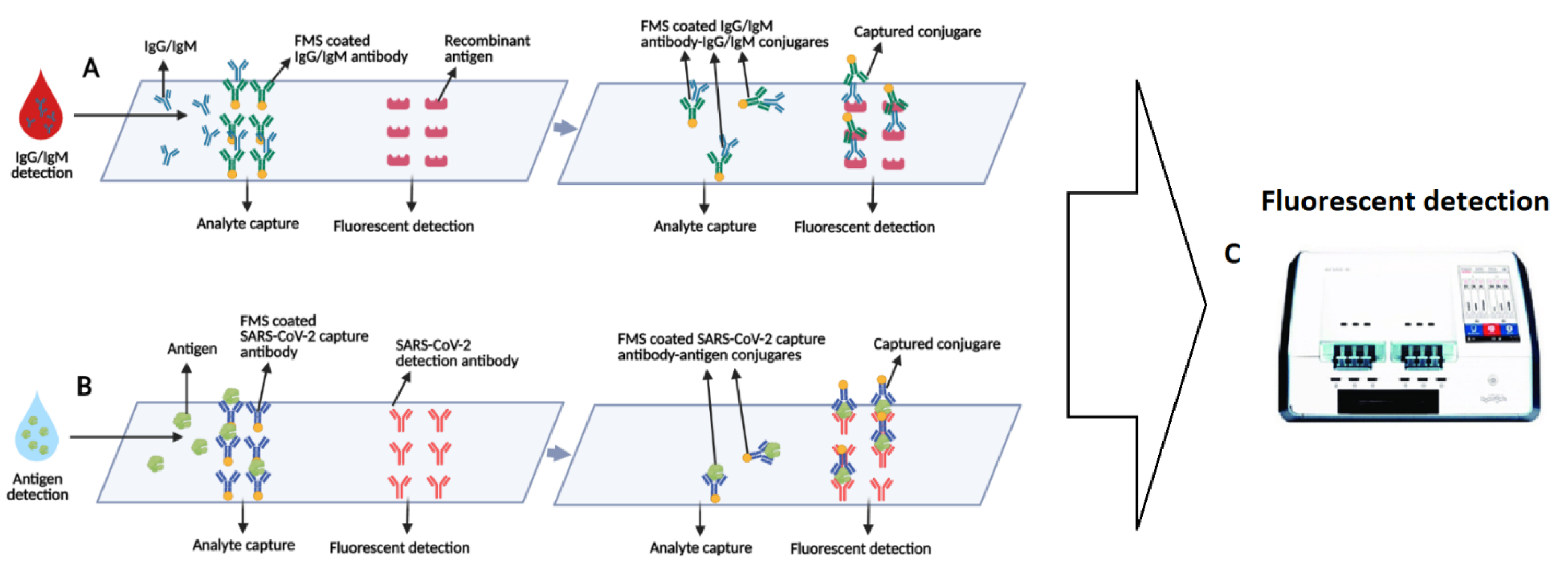 Bioengineering 08 00054 g003