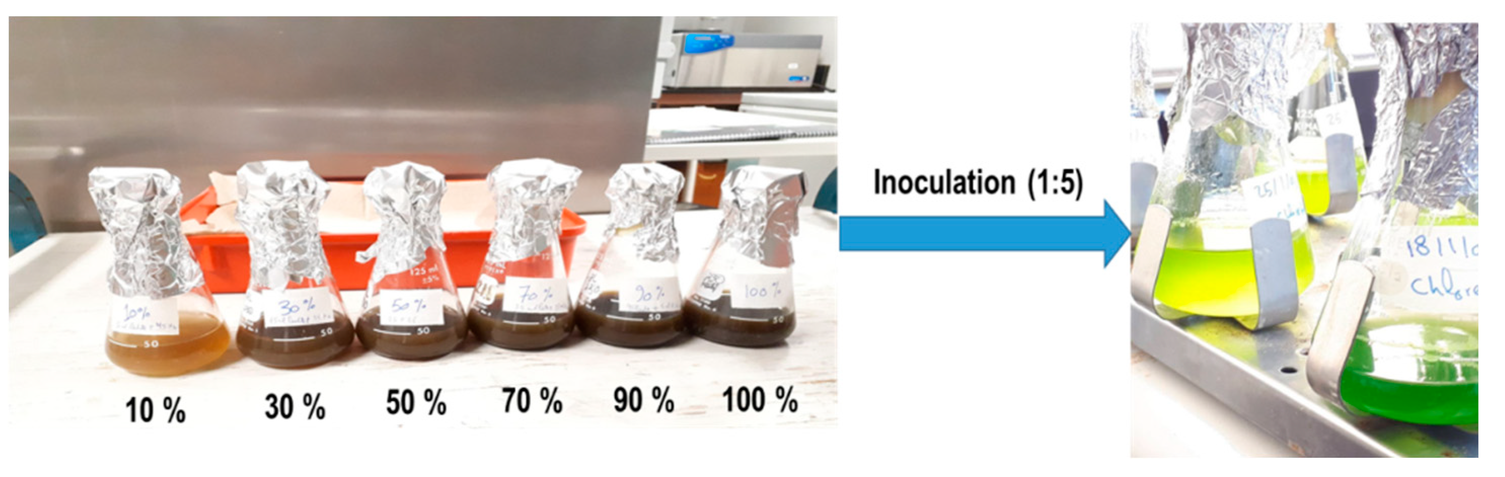 Bioengineering 08 00057 g001 Bioengineering 08 00057 g001