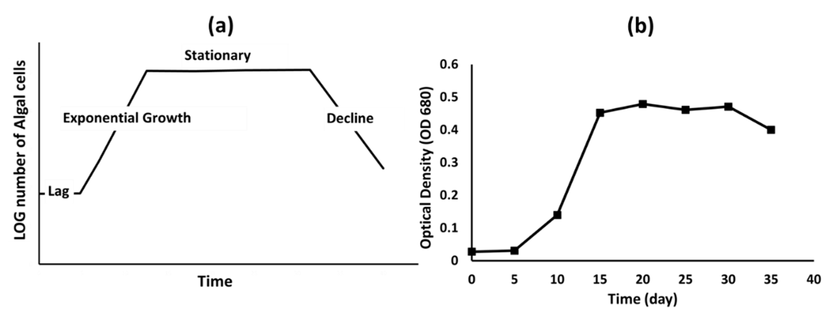 Bioengineering 08 00057 g003 Bioengineering 08 00057 g003