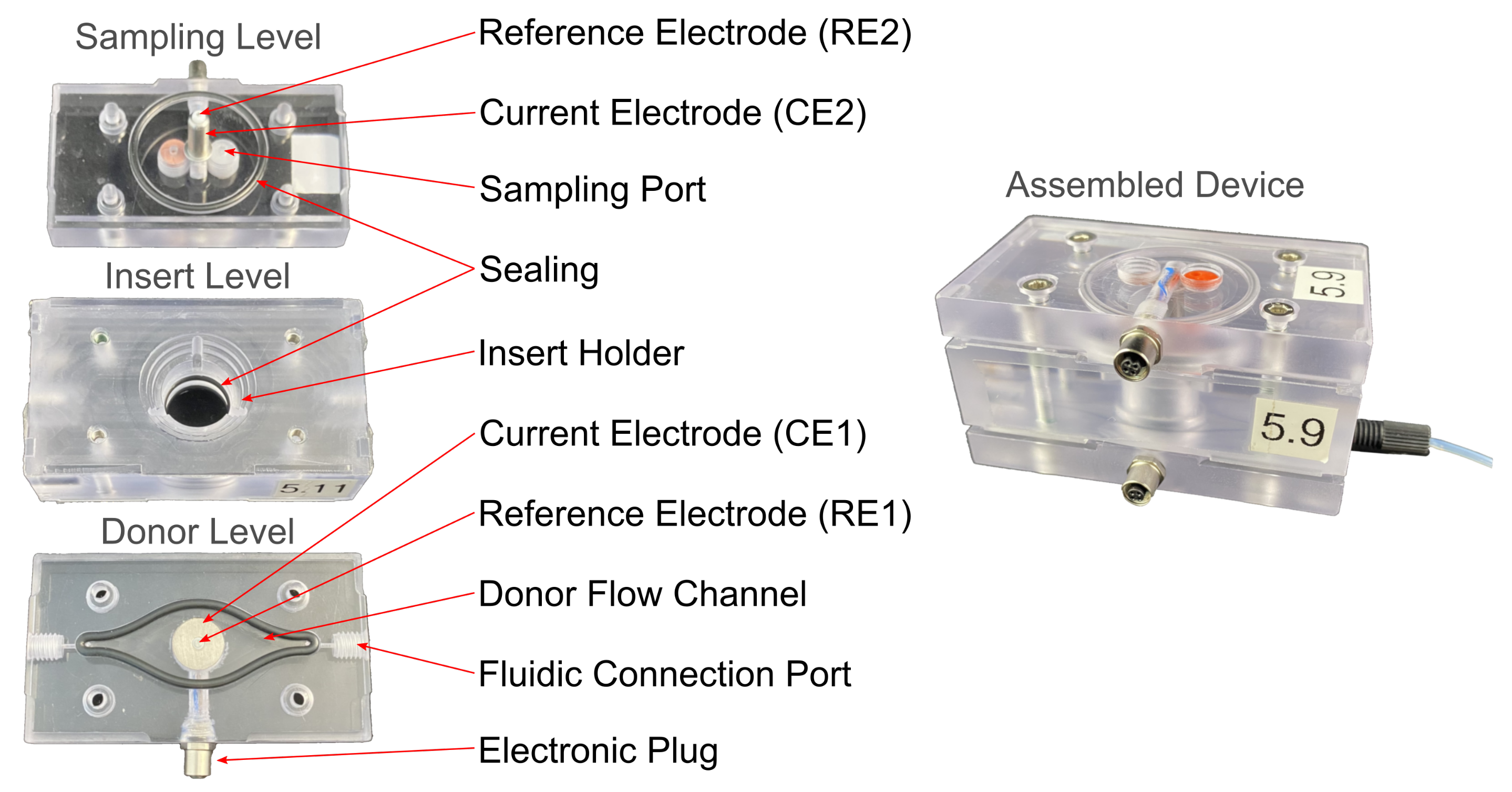 Bioengineering 08 00058 g001