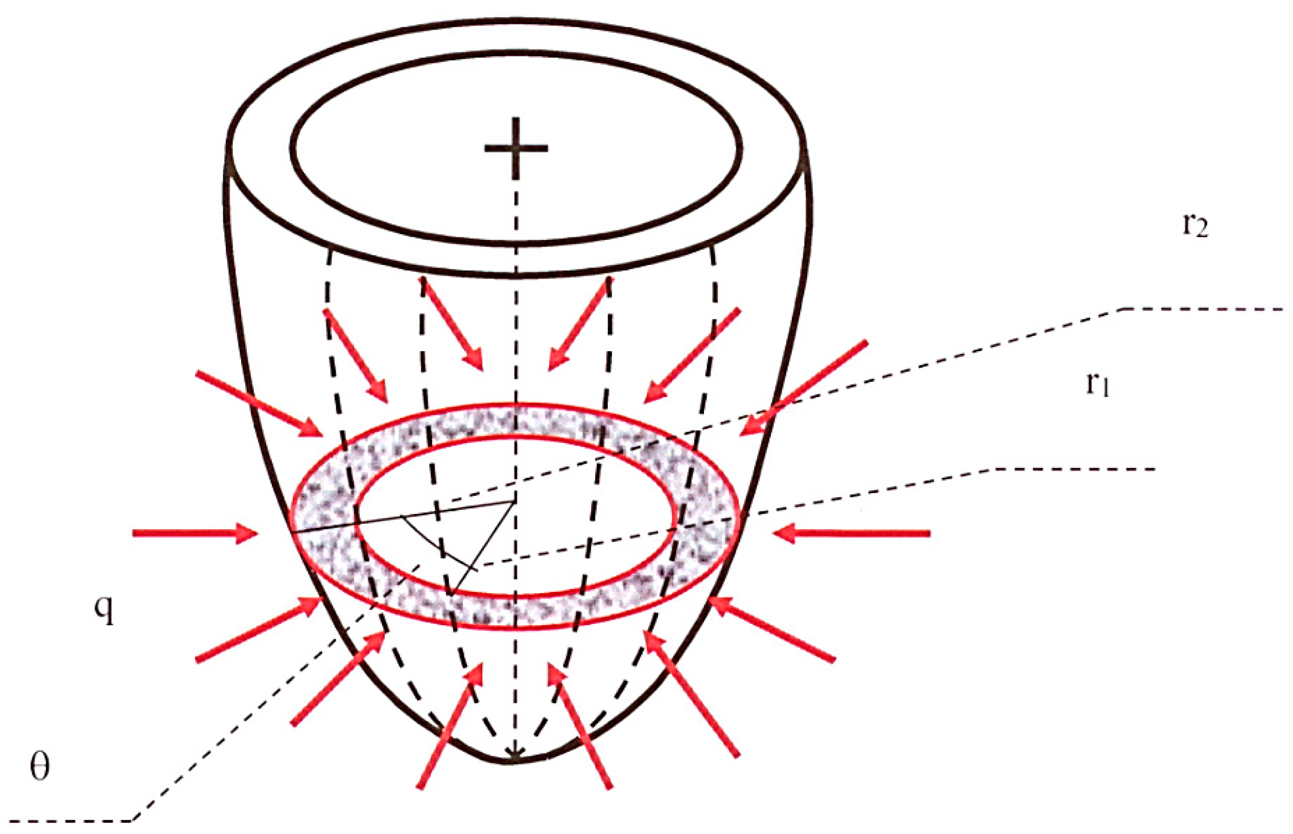 Bioengineering 08 00064 g001
