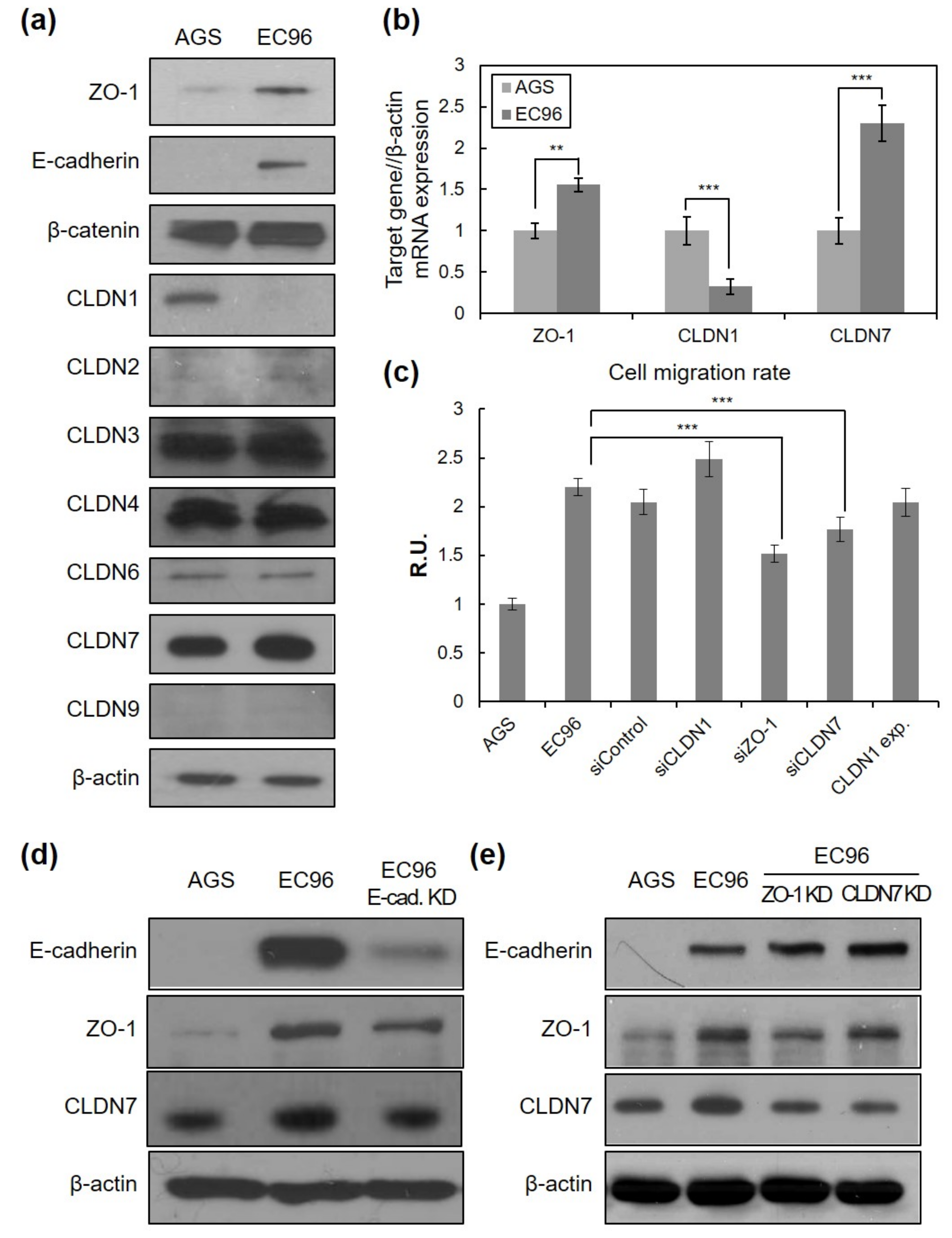 Bioengineering 08 00065 g003