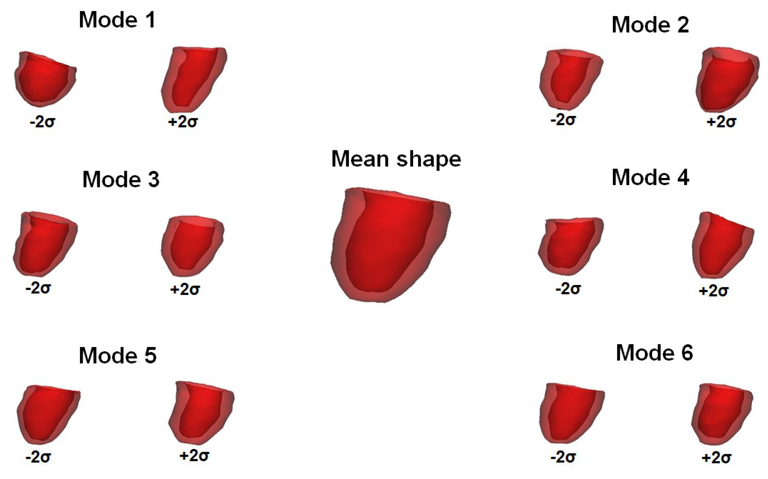 Bioengineering 08 00066 g003 Bioengineering 08 00066 g003