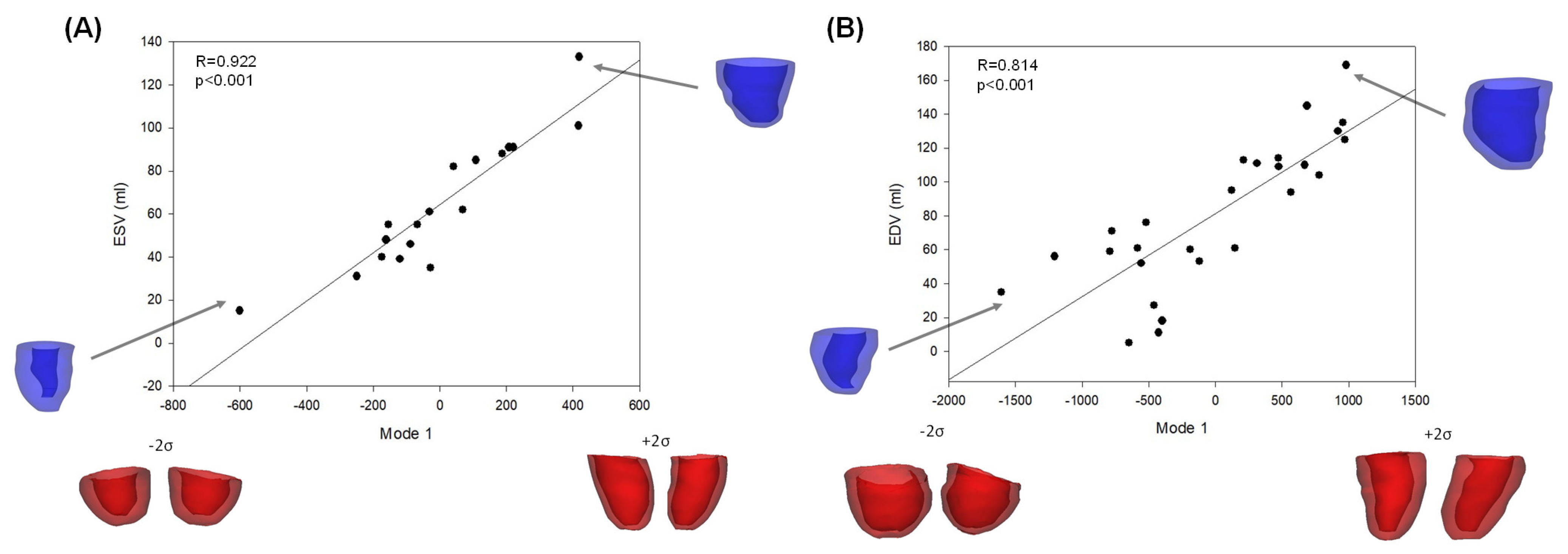 Bioengineering 08 00066 g004 Bioengineering 08 00066 g004