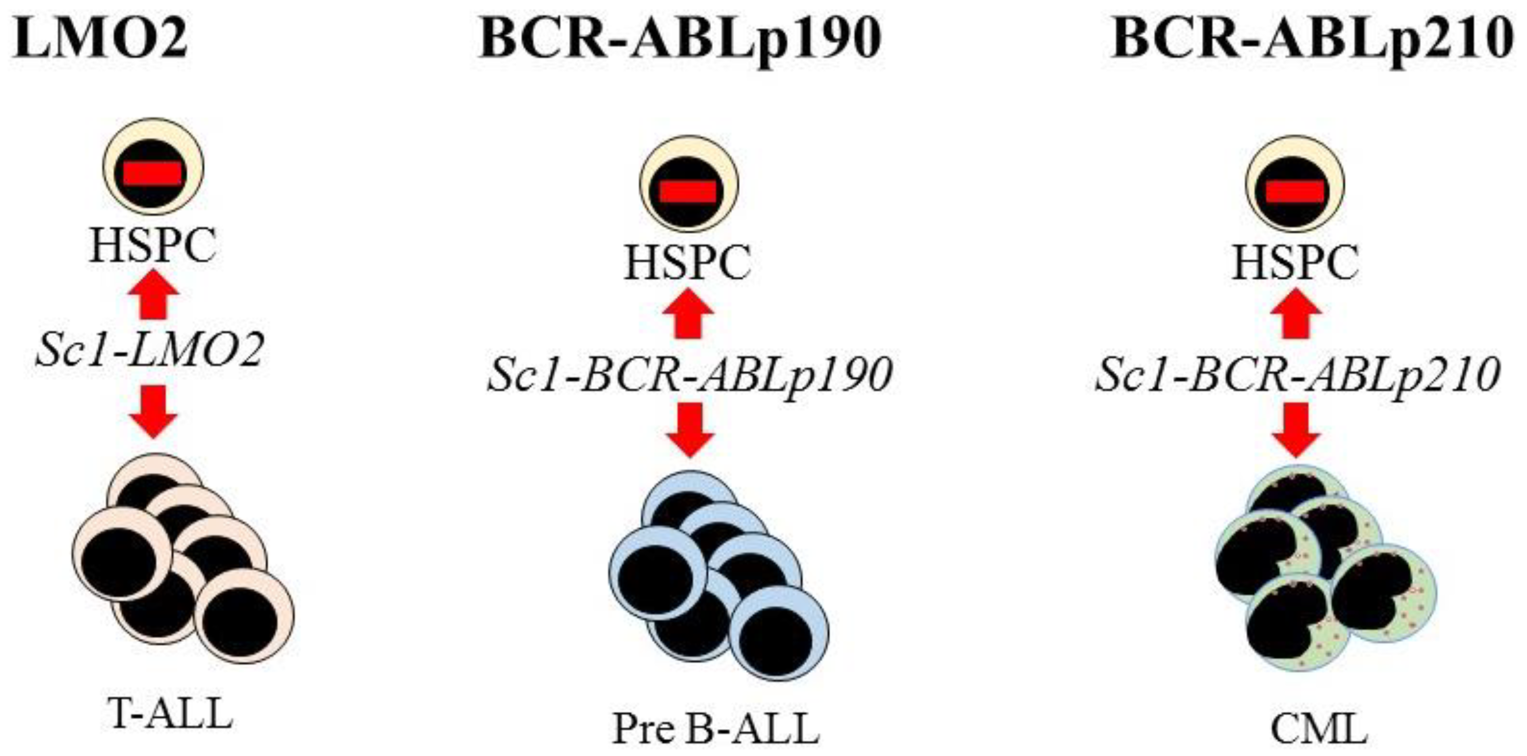 Bioengineering 08 00067 g003