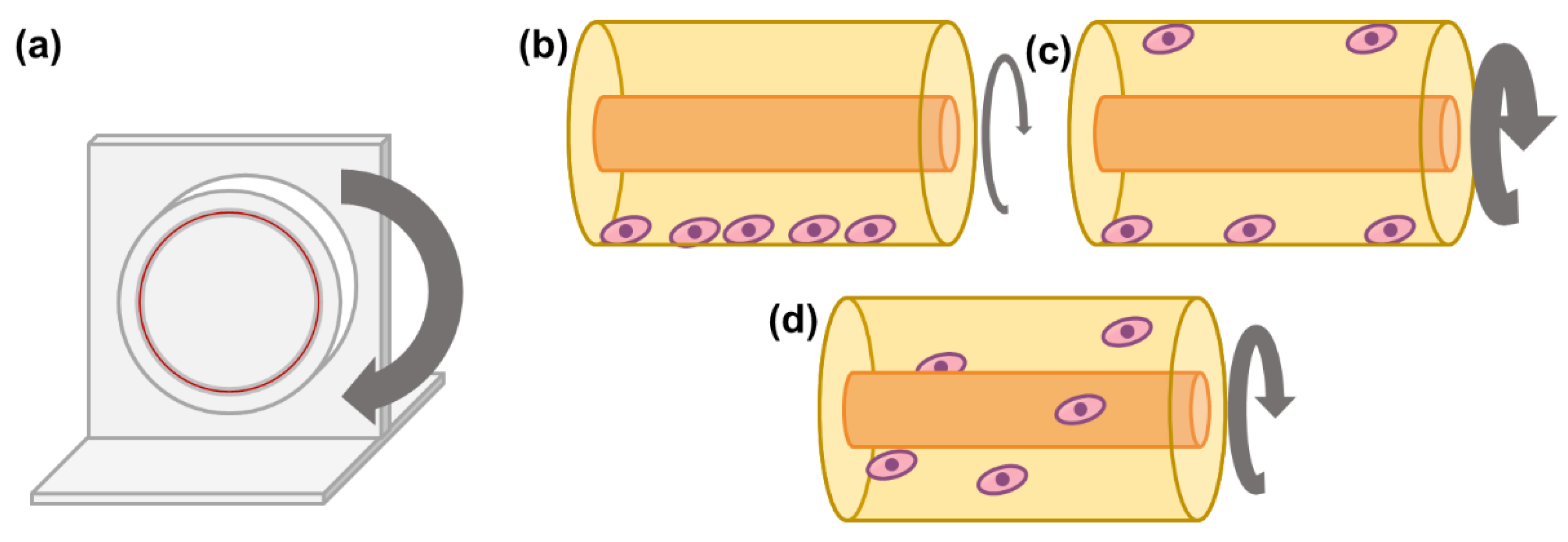 Bioengineering 08 00068 g005