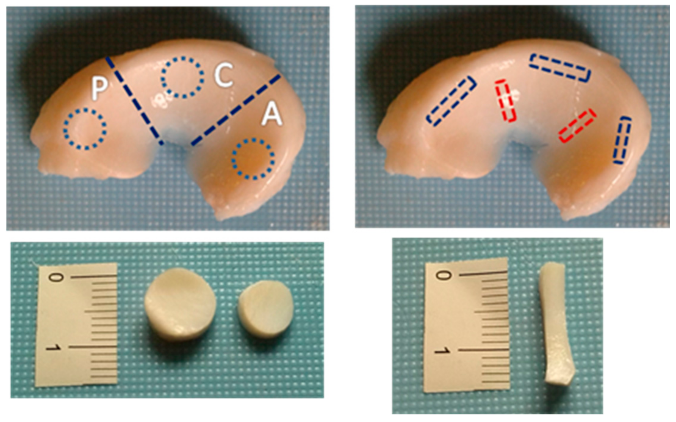 Bioengineering 08 00070 g001 Bioengineering 08 00070 g001